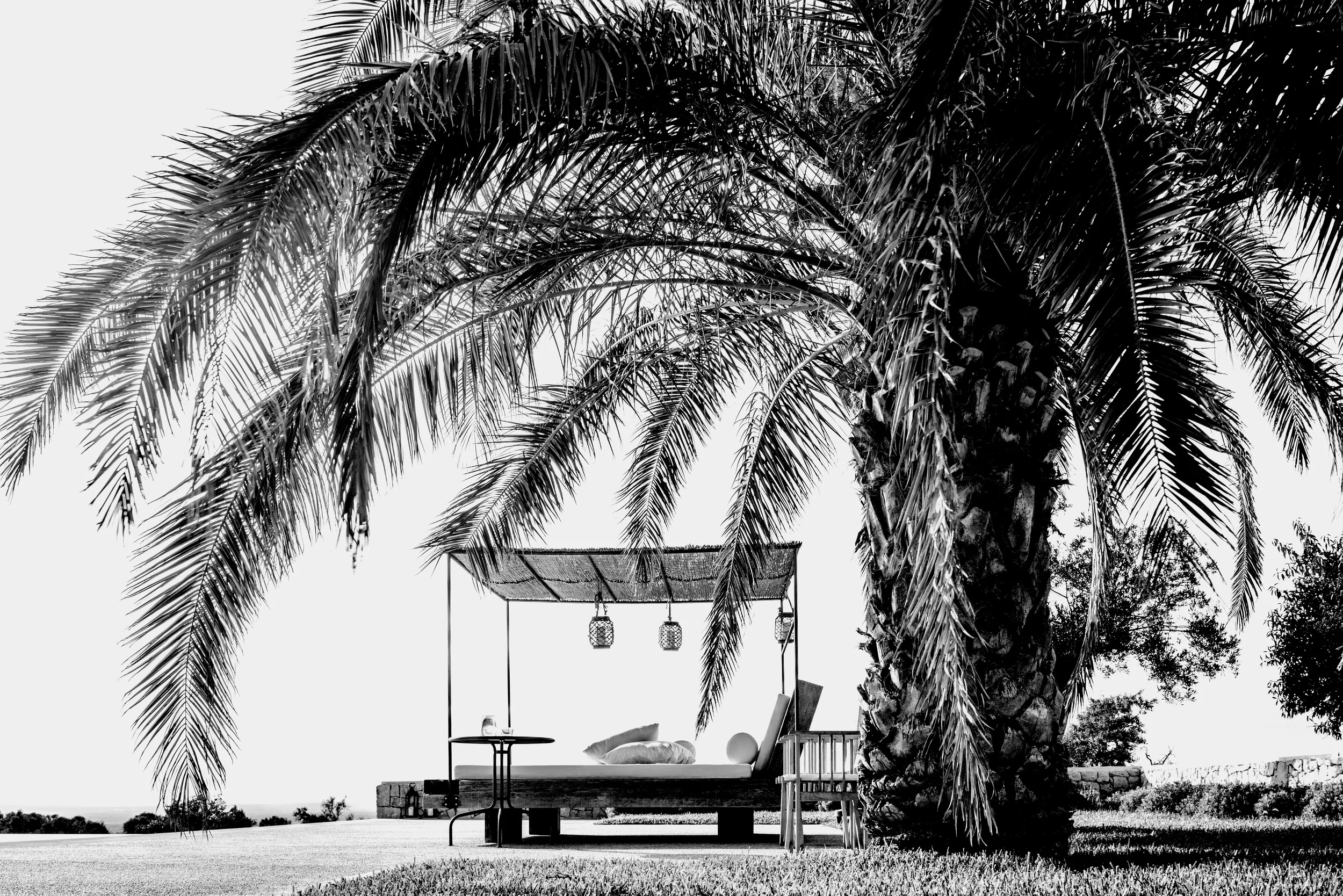 finca_48sw.jpg