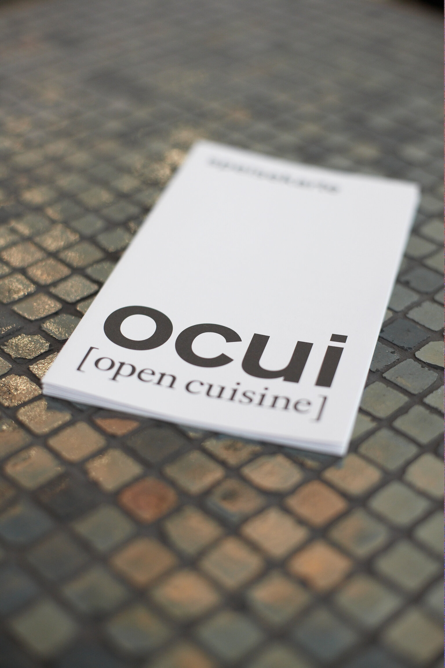 hildmannwilke_OCUI open cuisine (7).jpeg