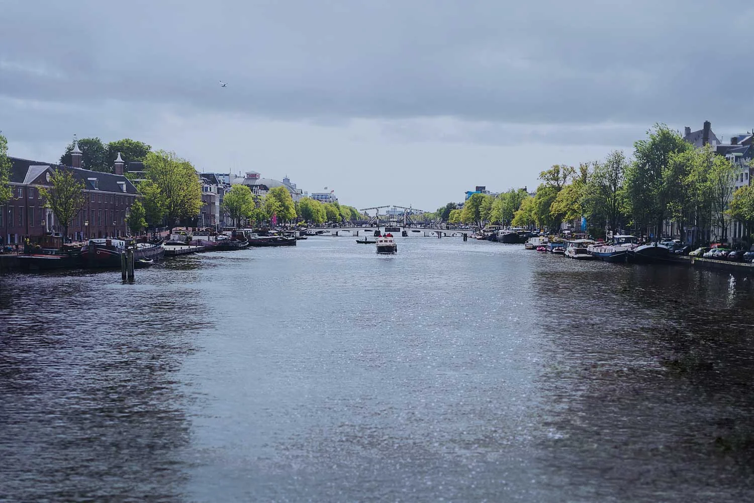 amstel4.jpg