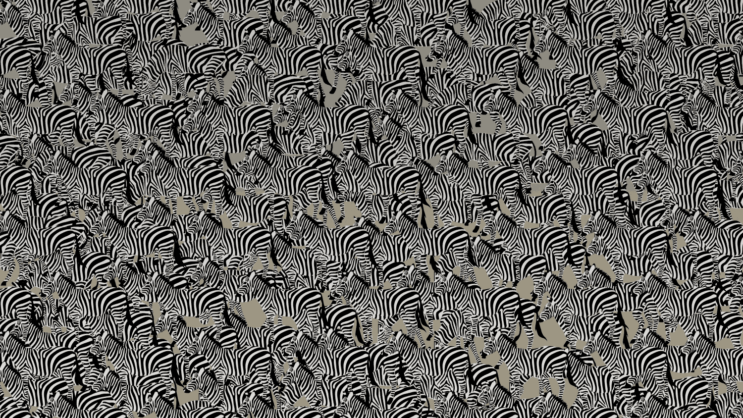 zebra-behang-animated.gif