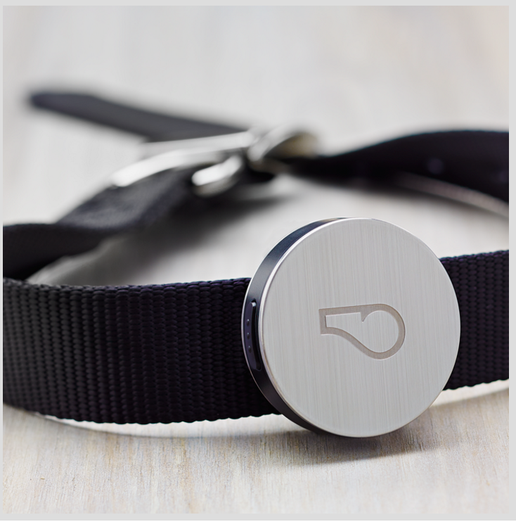 Activity Monitor