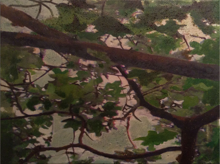 Roots Of Resilience, 1/6