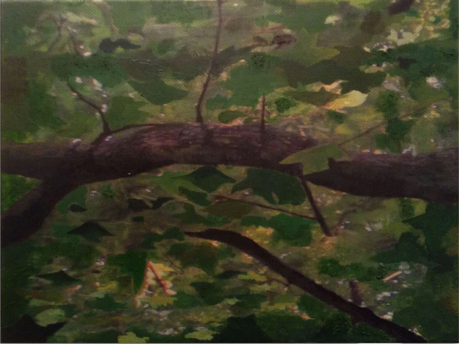 Roots Of Resilience, 2/6