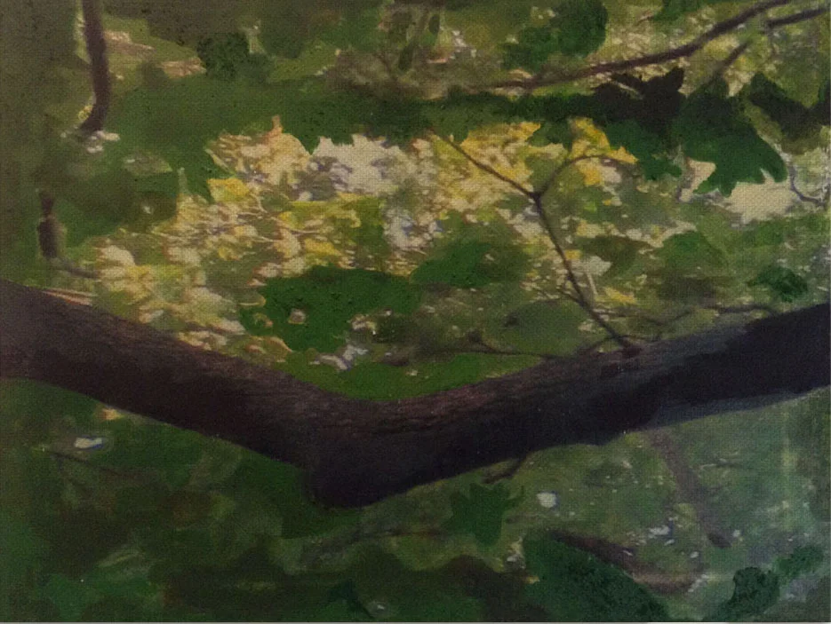 Roots Of Resilience, 3/6