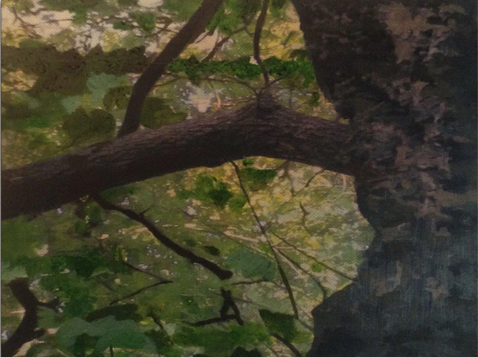 Roots Of Resilience, 4/6