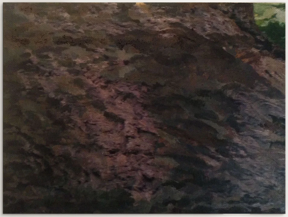 Roots Of Resilience, 5/6