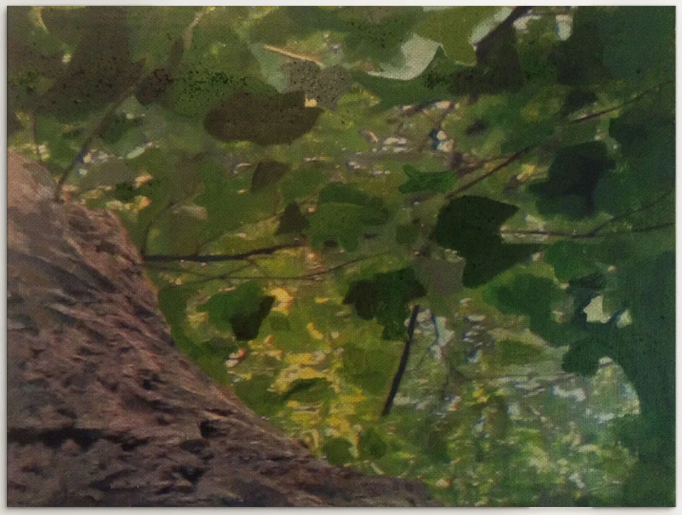 Roots Of Resilience, 6/6