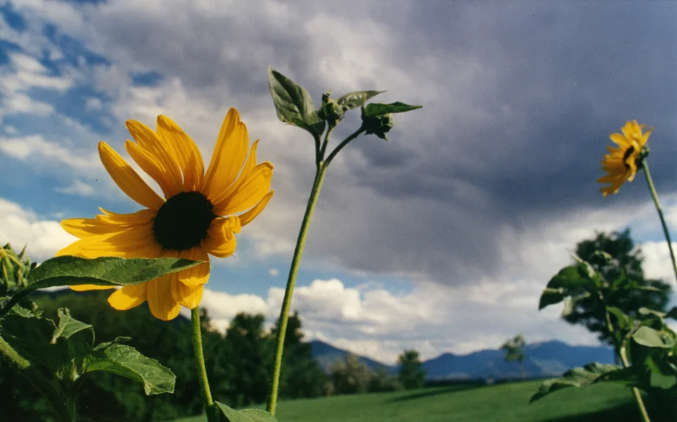 Nature15.jpg
