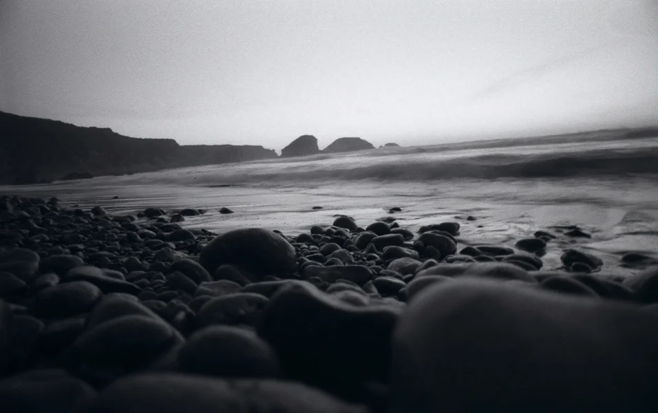 Nature19.jpg