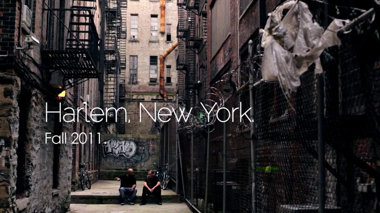 The Anti-Drug - Harlem Elvis