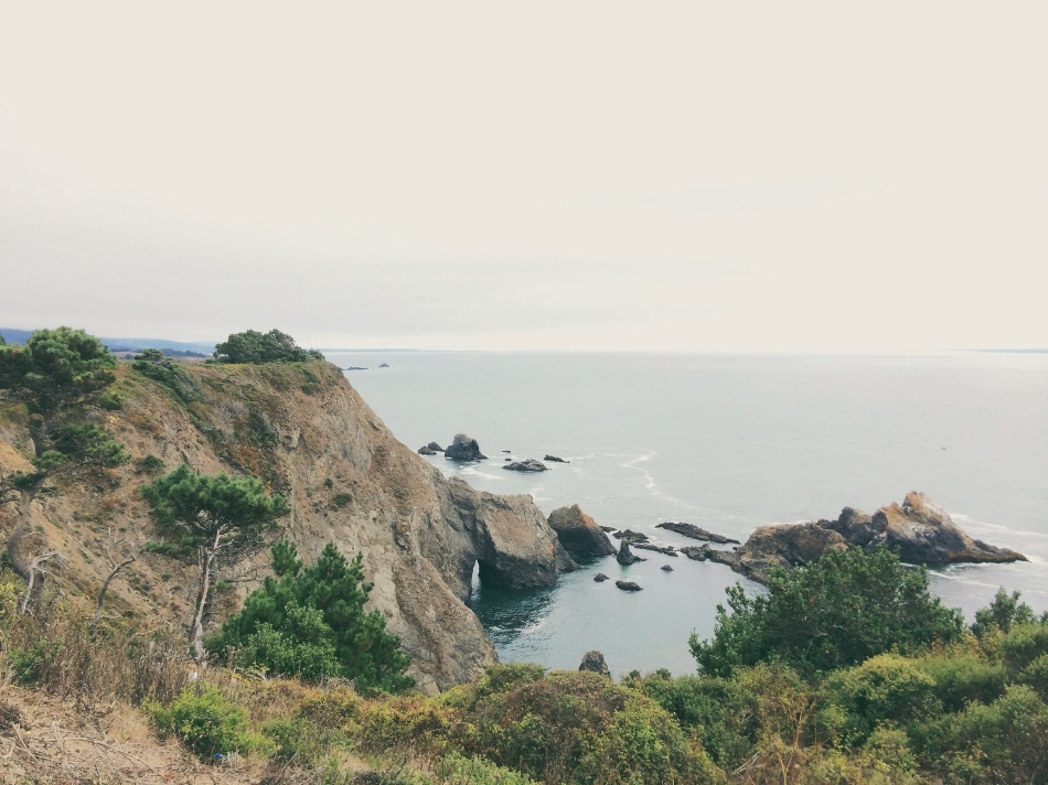 view from the 101 //california