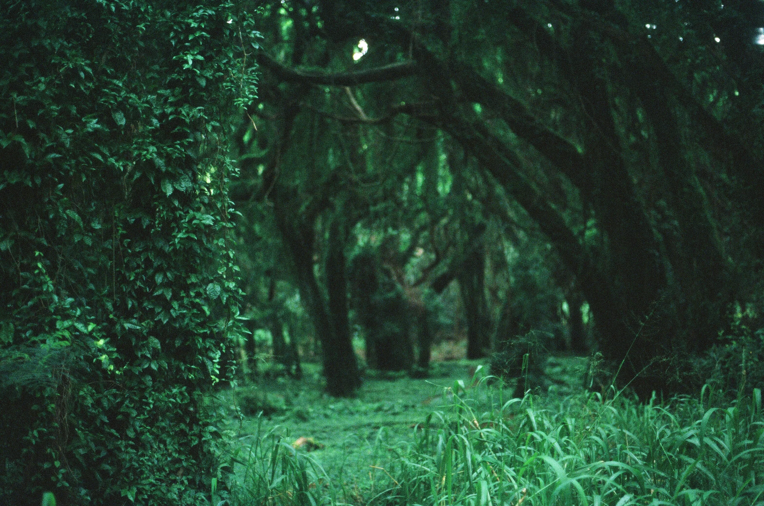 8301_0020_###.jpg