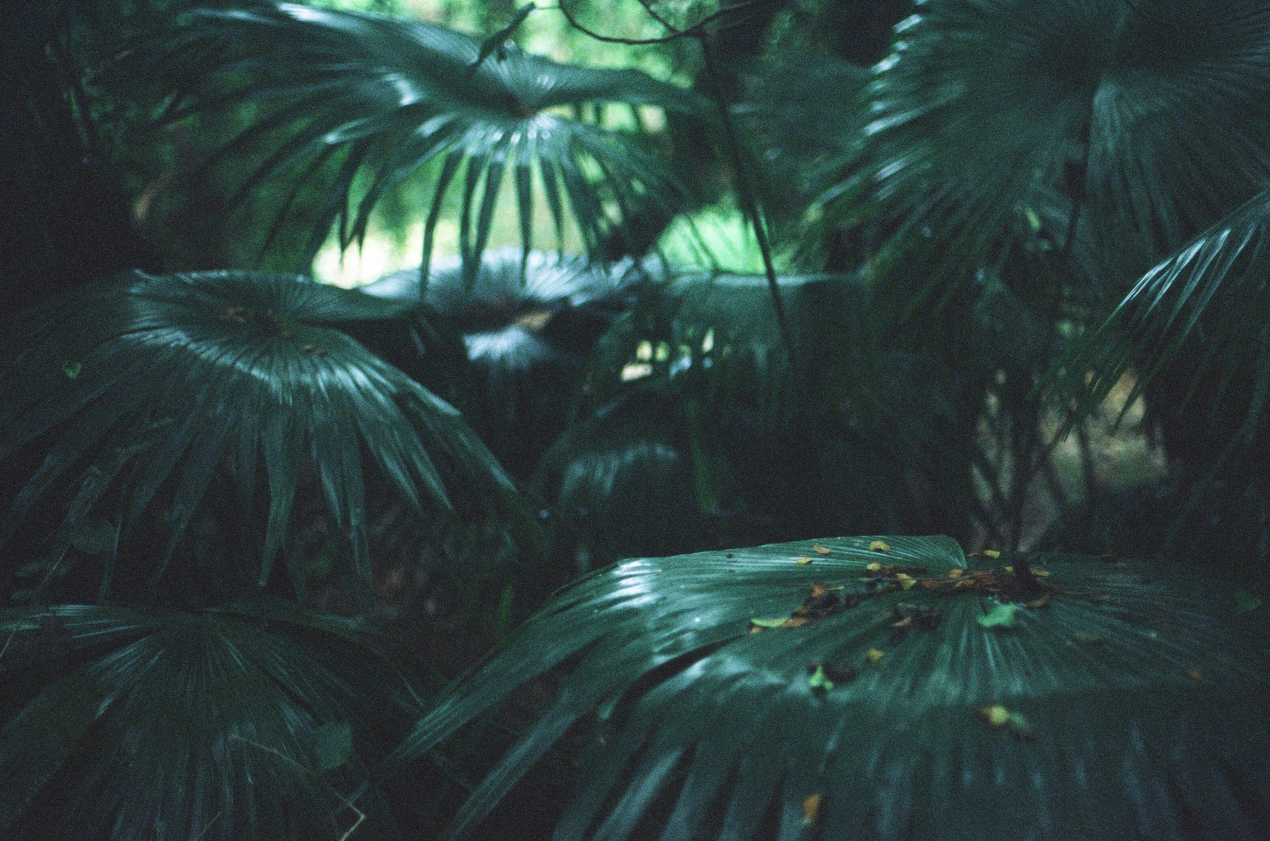 8301_0028_###.jpg