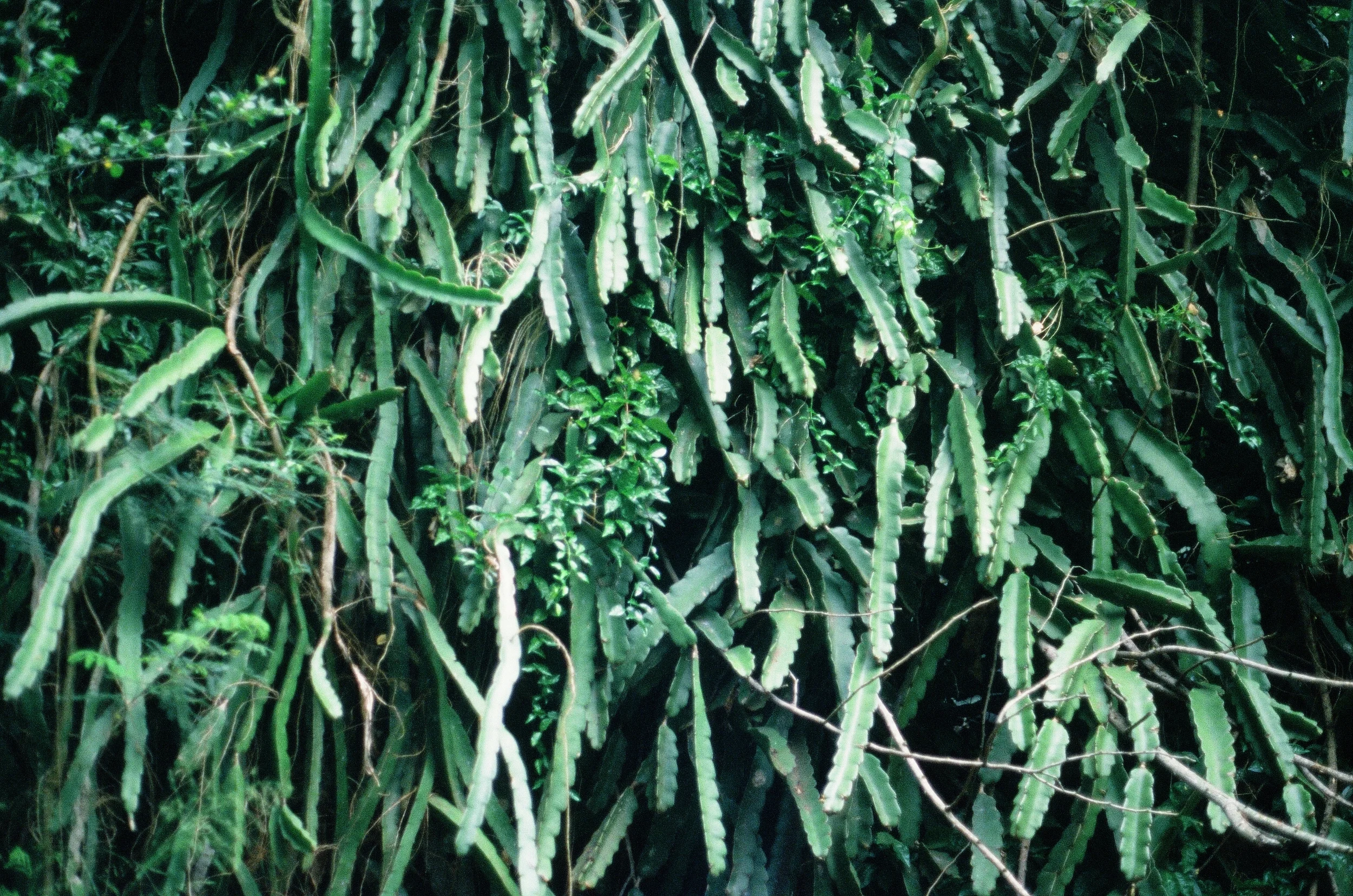 8301_0029_###.jpg