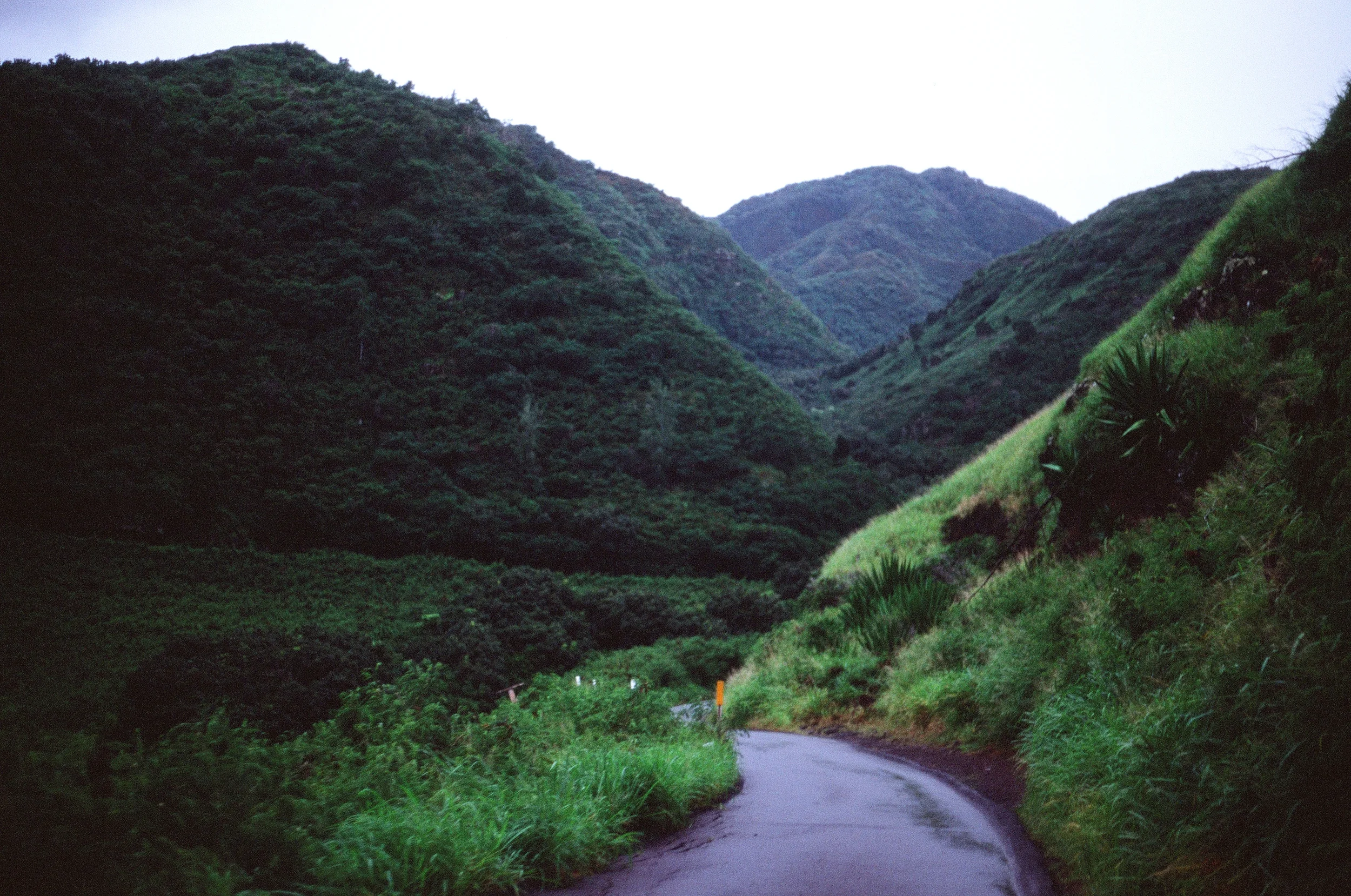 8302_0035_###.jpg