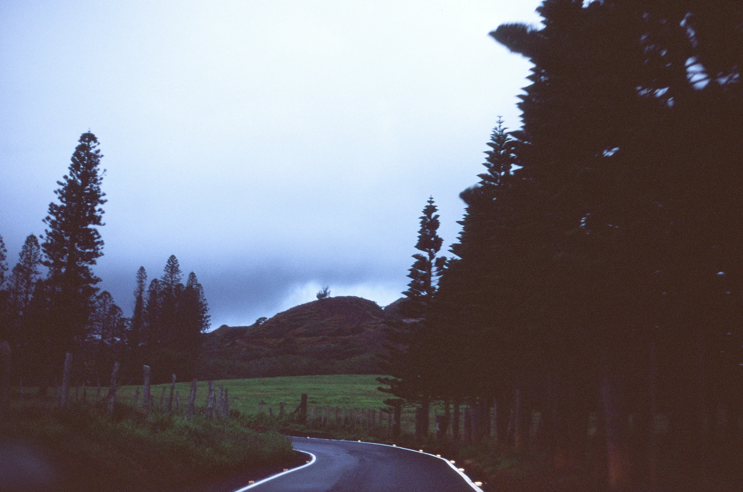 8302_0037_###.jpg