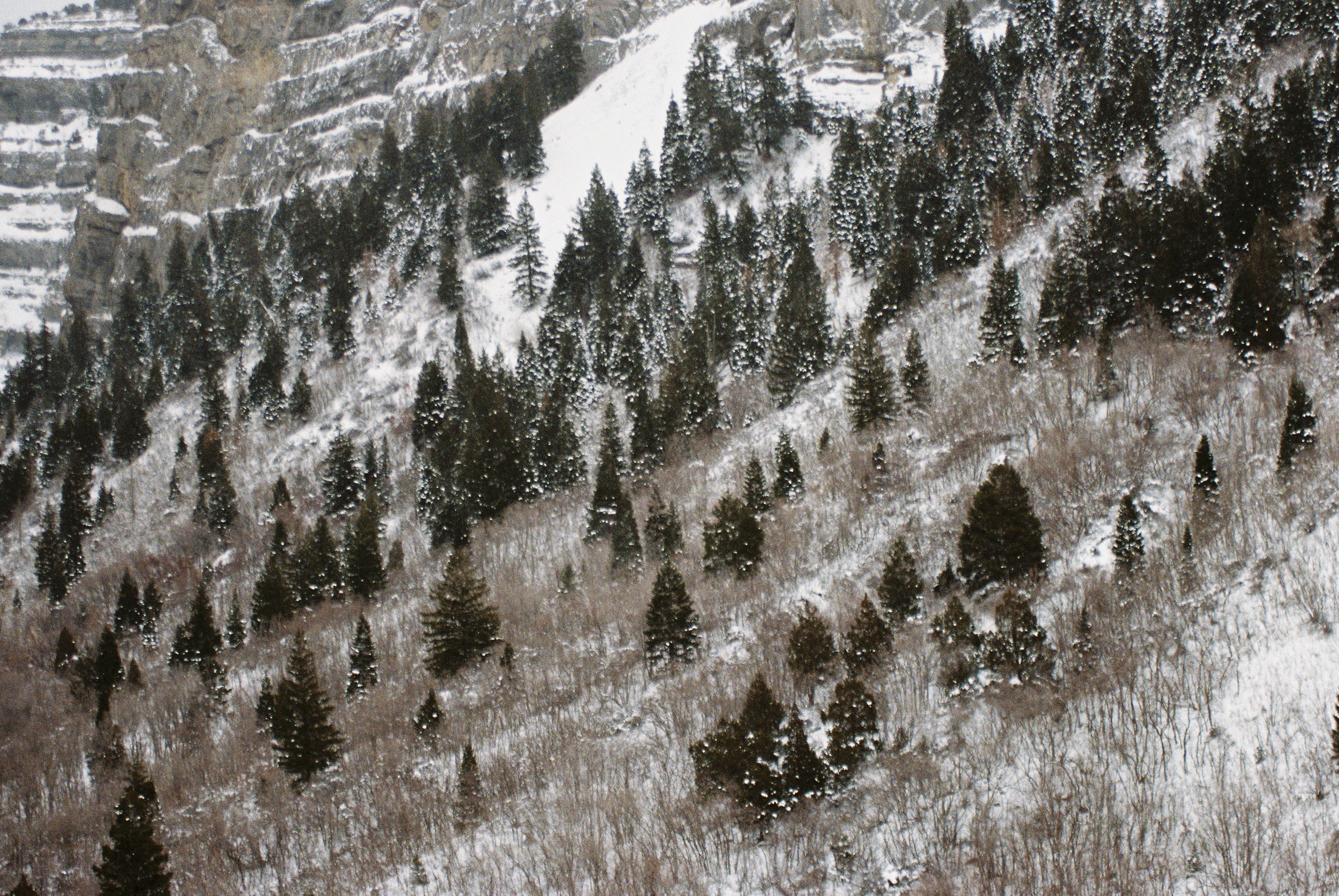 Wade140211-R1-014-5A.jpg