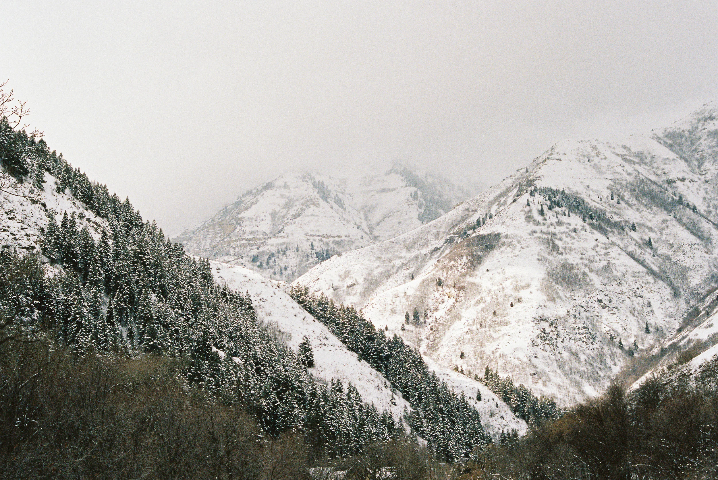 Wade140211-R1-022-9A.jpg