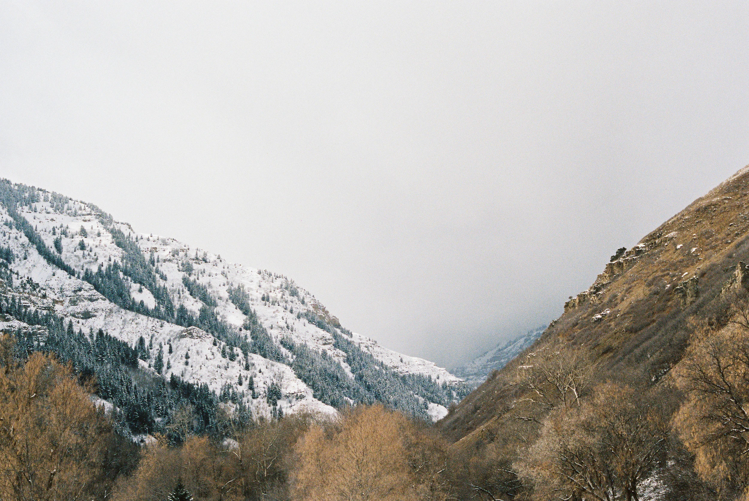 Wade140211-R1-024-10A.jpg