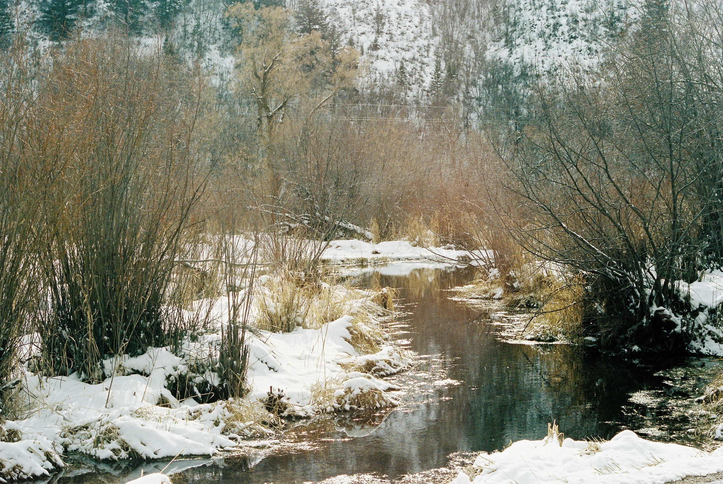 Wade140211-R1-026-11A.jpg