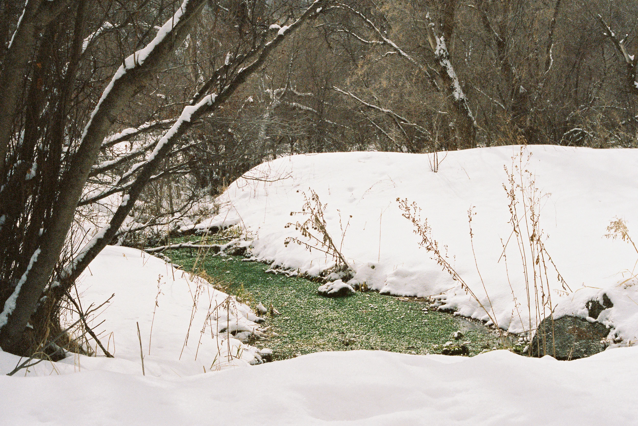 Wade140211-R1-034-15A.jpg