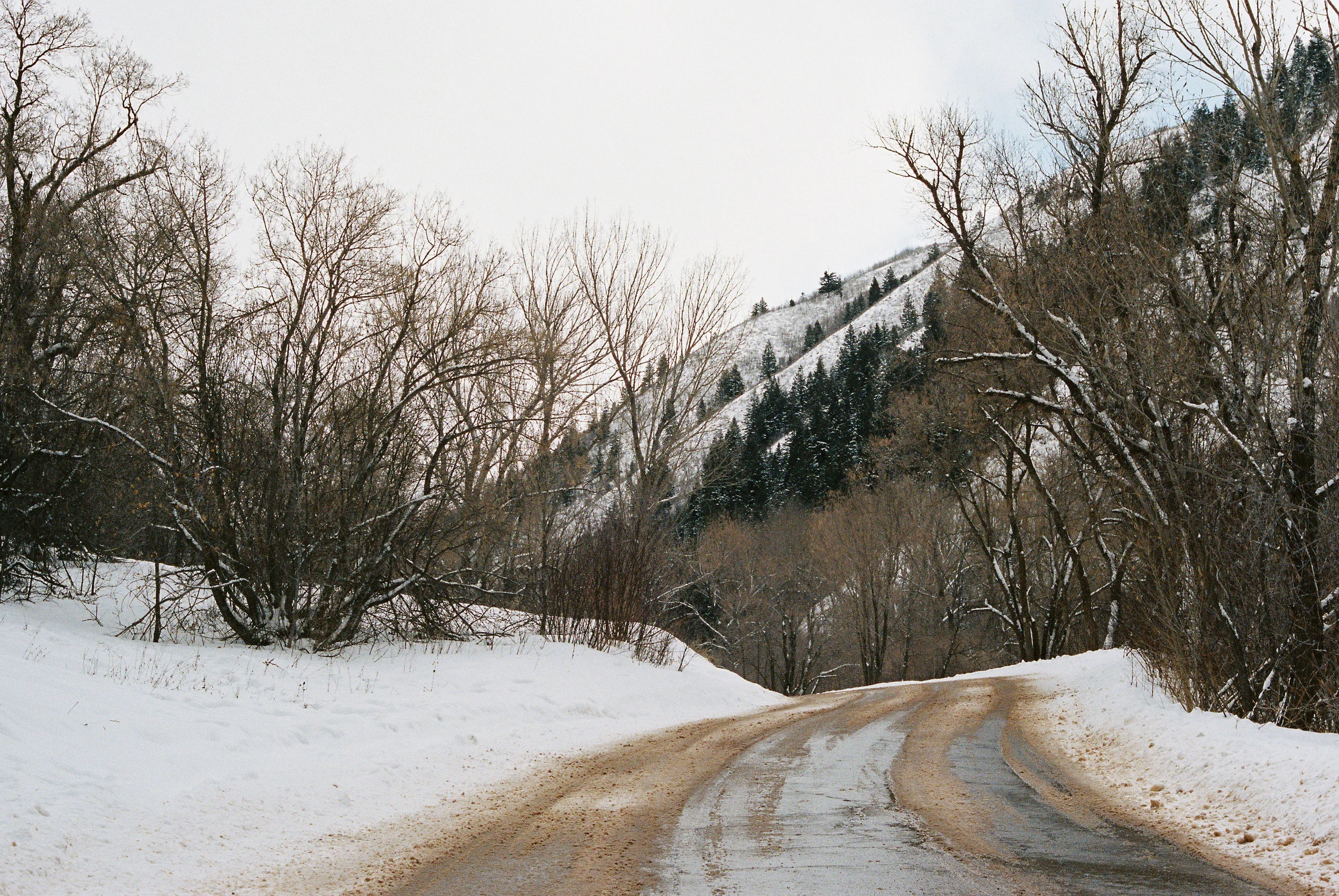 Wade140211-R1-040-18A.jpg
