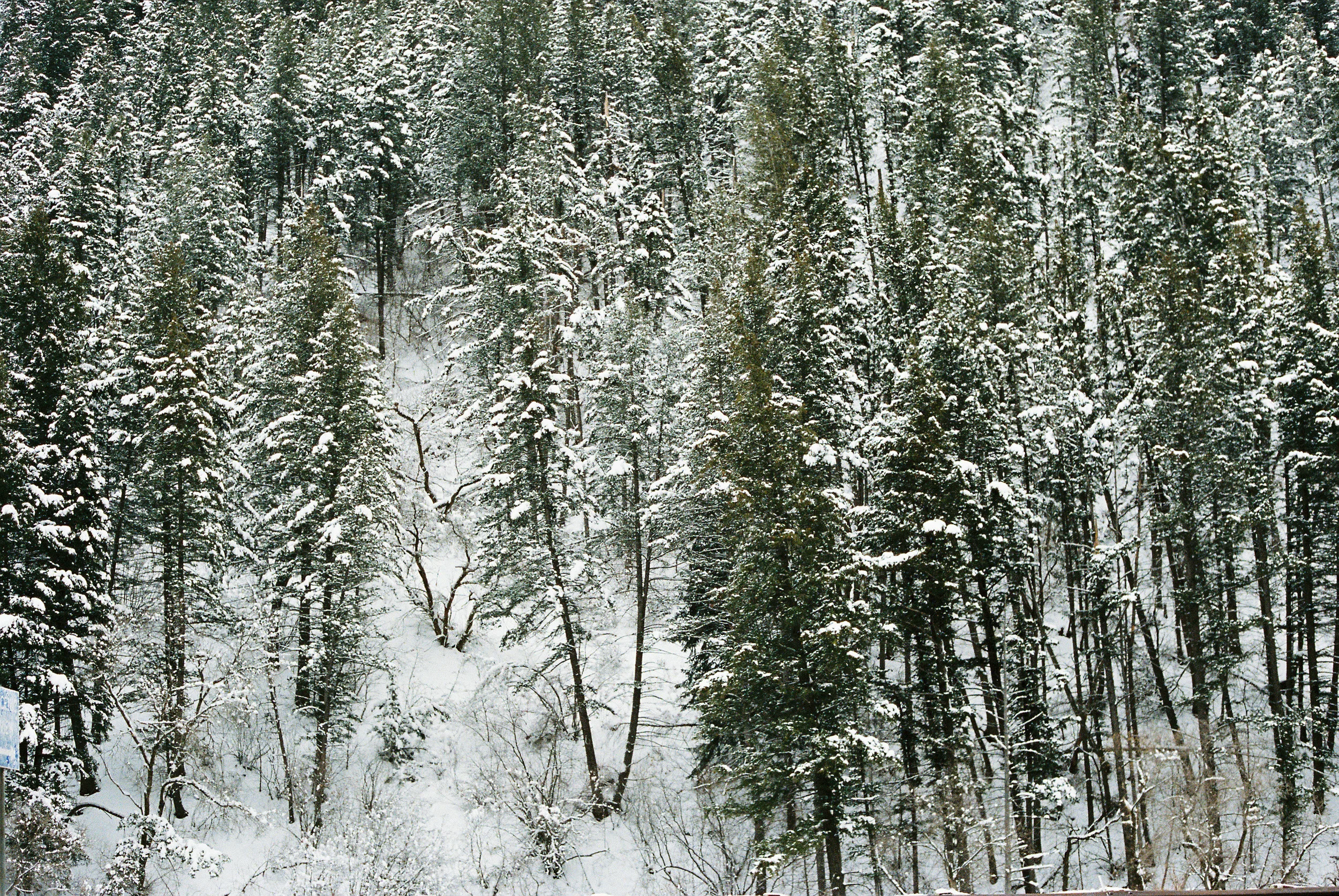 Wade140211-R1-066-31A.jpg