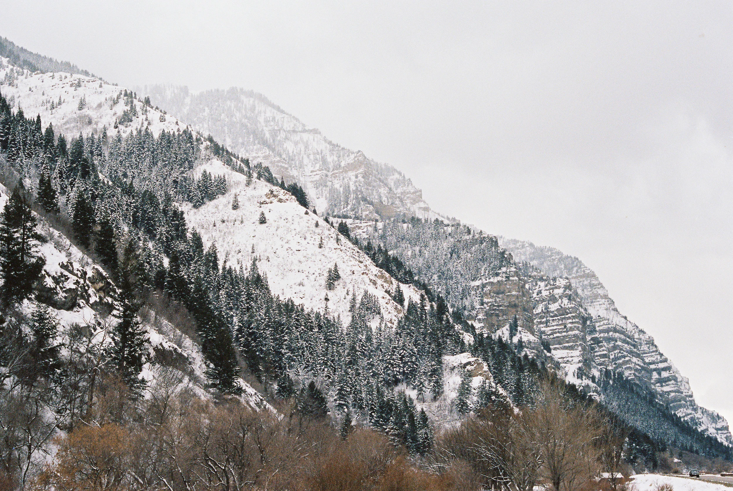 Wade140211-R1-076-36A.jpg