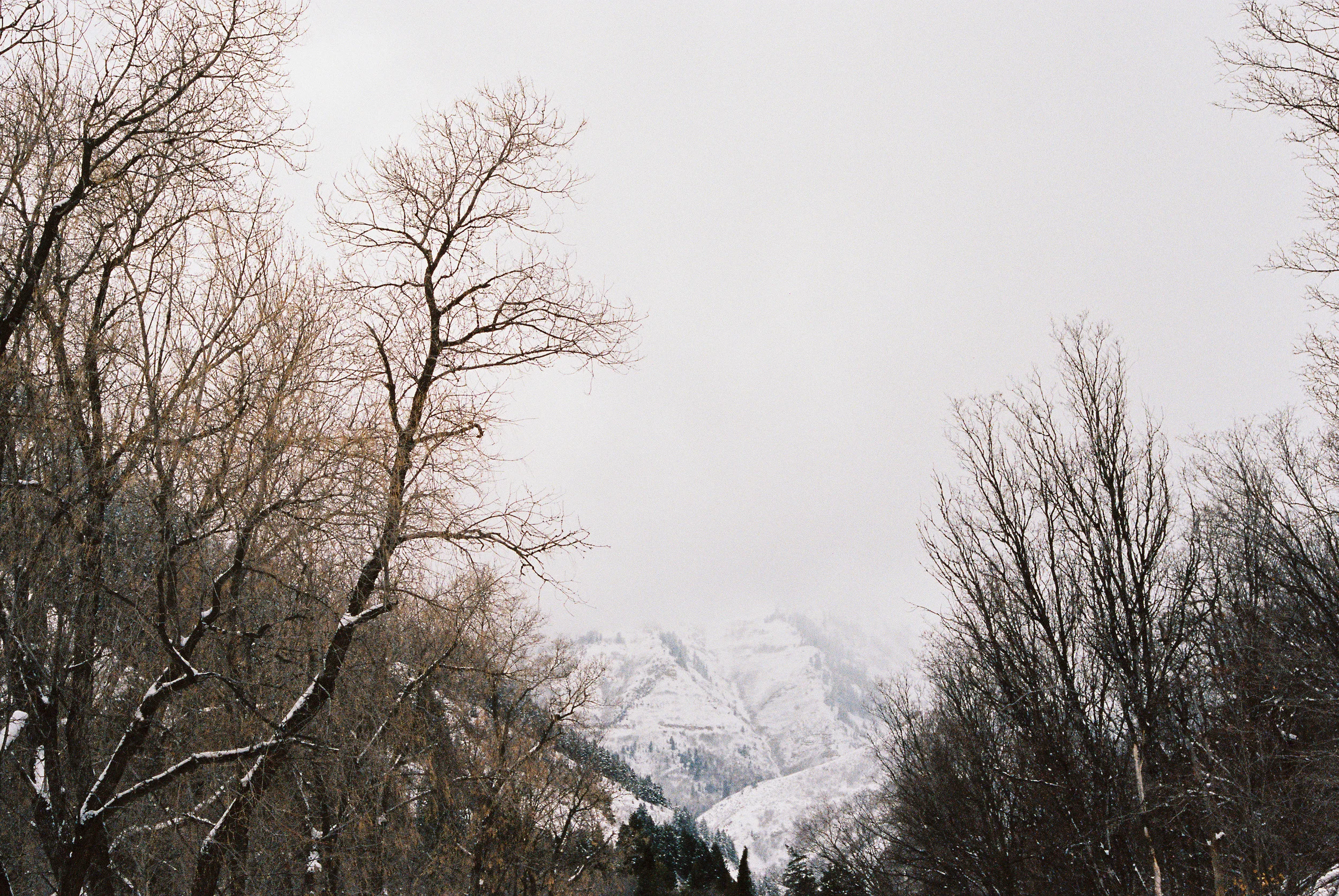 Wade140211-R1-042-19A.jpg