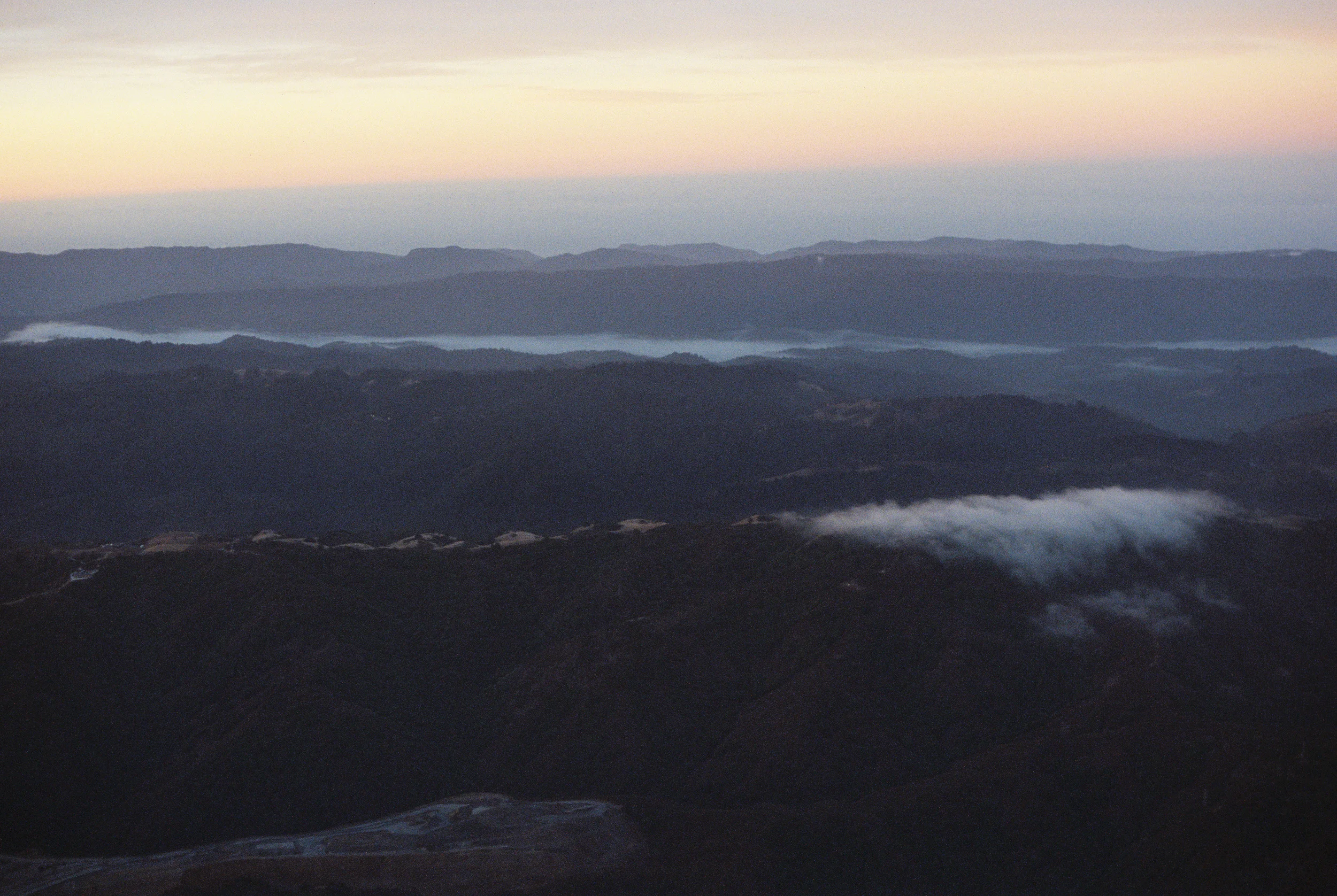 MuirWoods--16.jpg