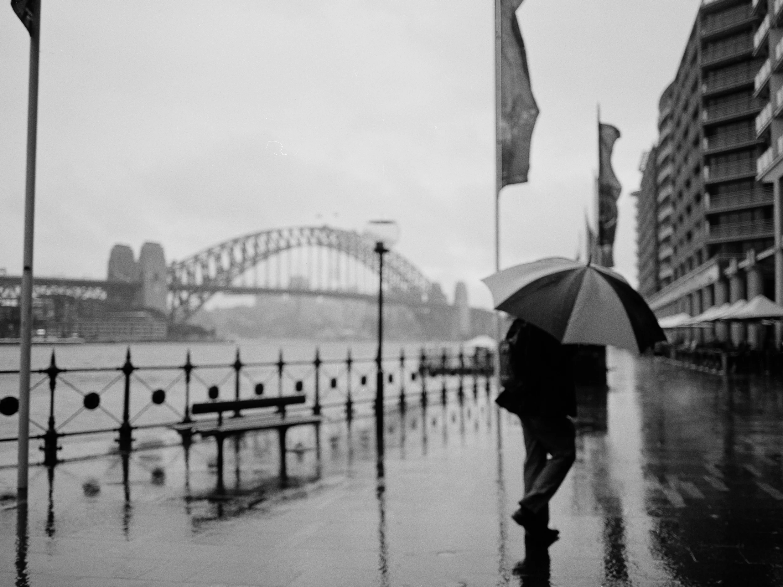 Sydney12e.jpg