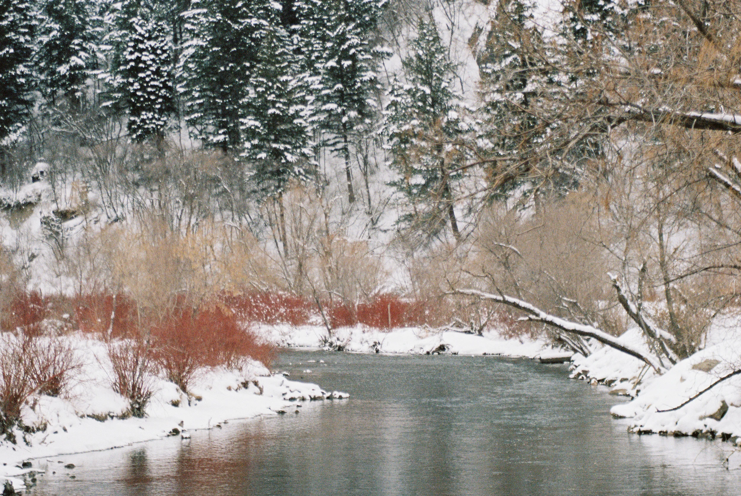 Wade140211-R1-072-34A.jpg