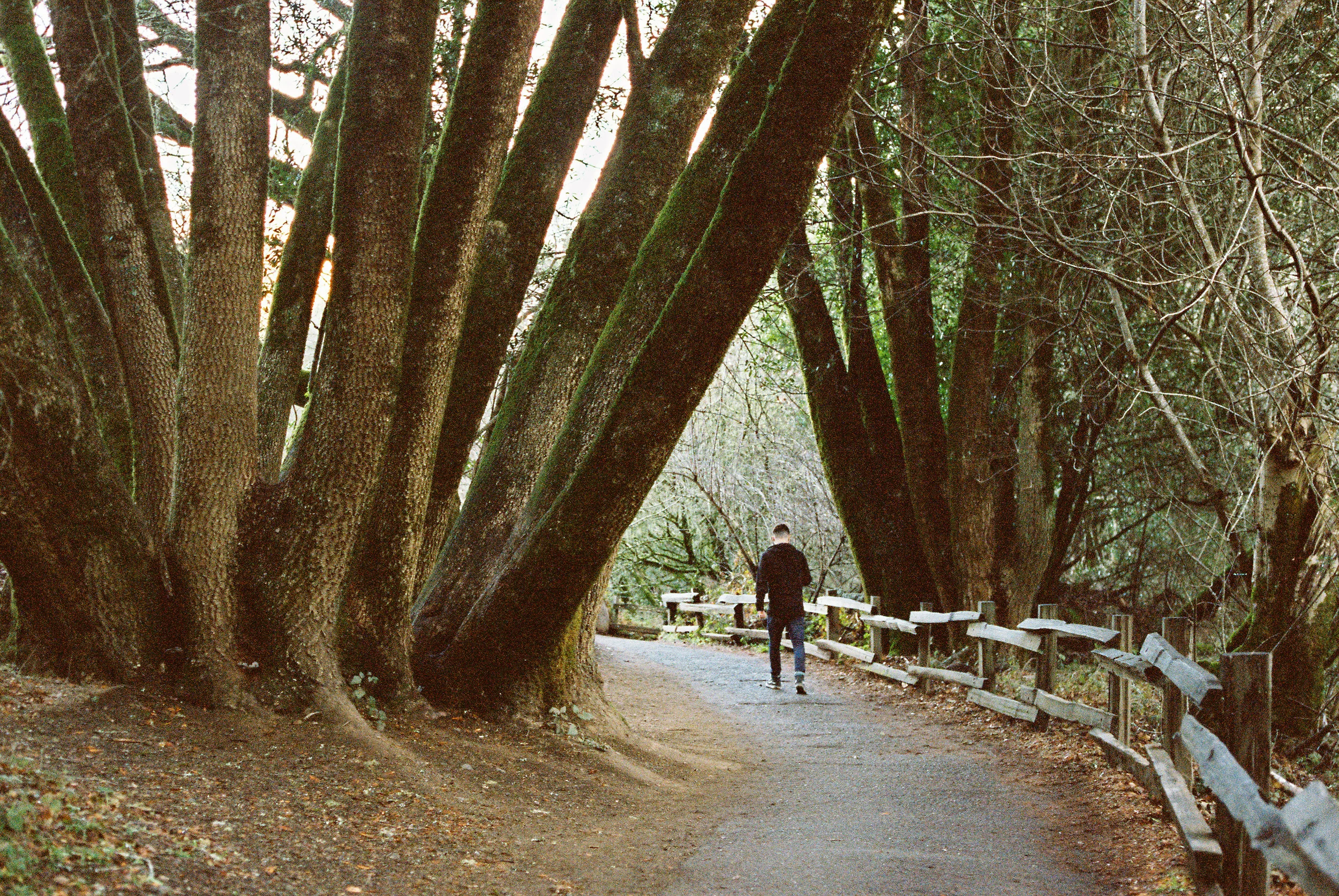 Wade140128-R1-018-7A.jpg