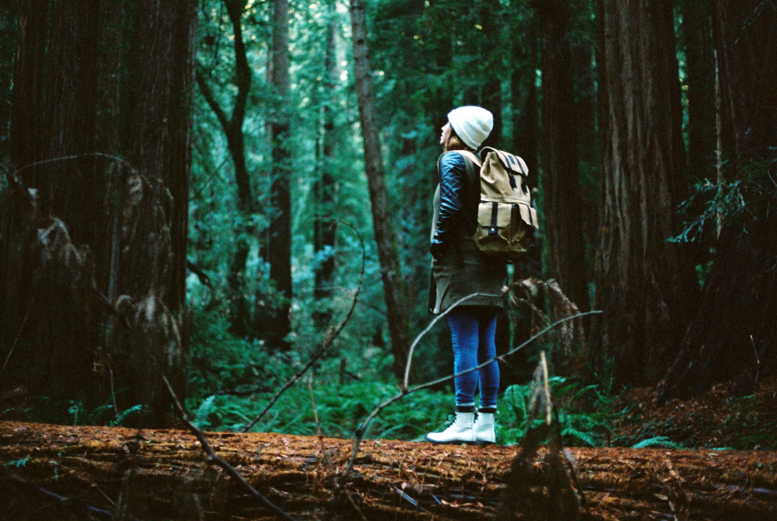 muirwoodssmall--38.jpg