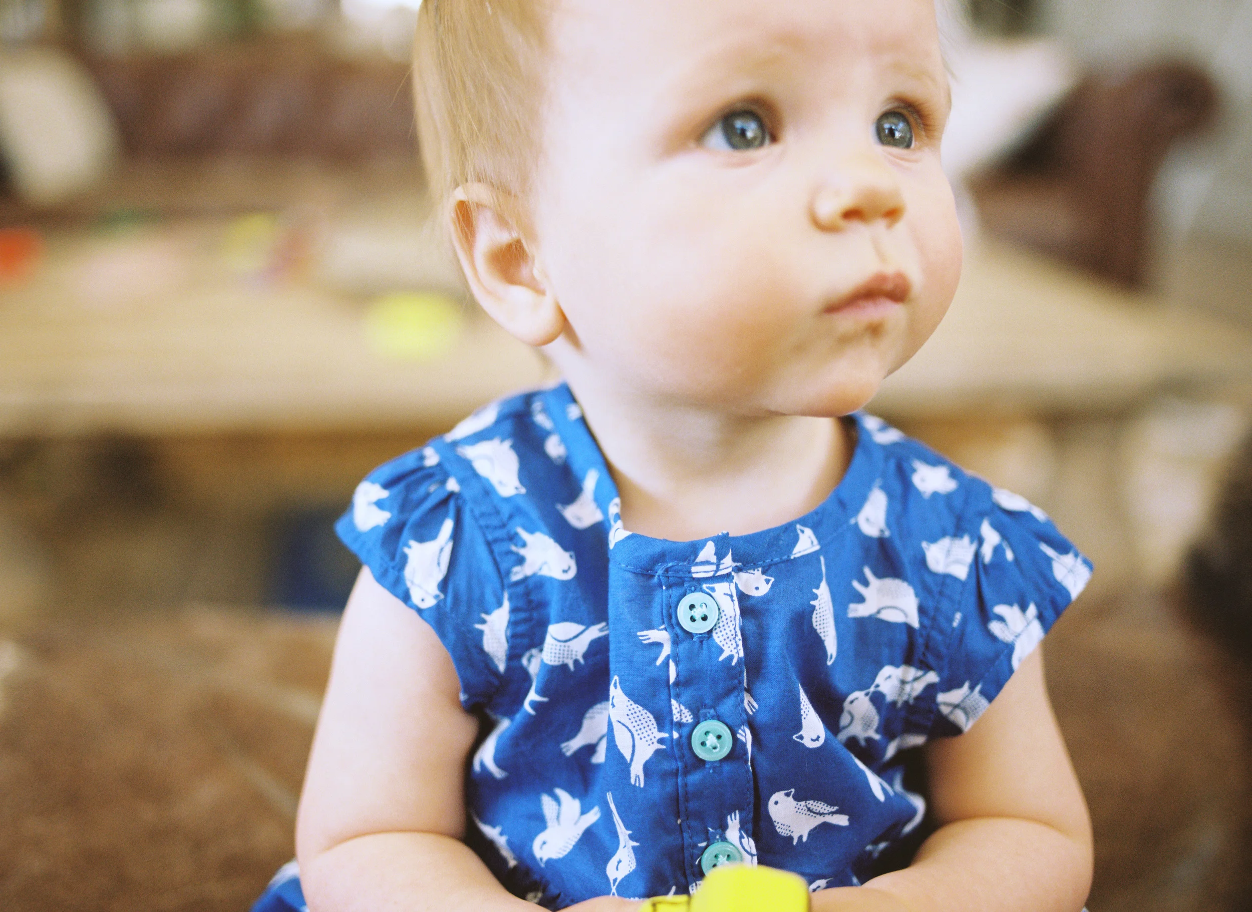 1006140411-R2-E027.jpg