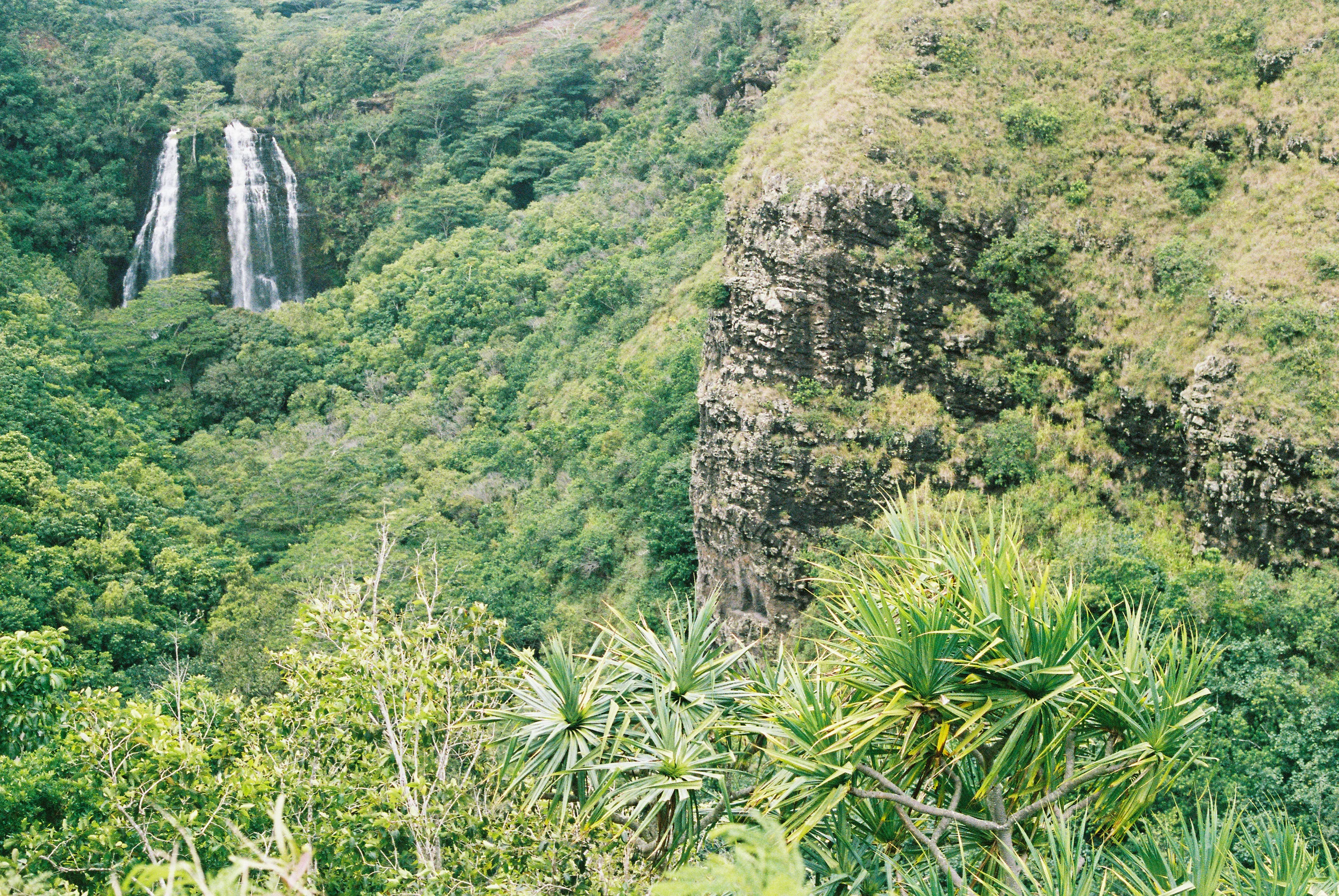 TrujilloKauai2014_042-2.jpg
