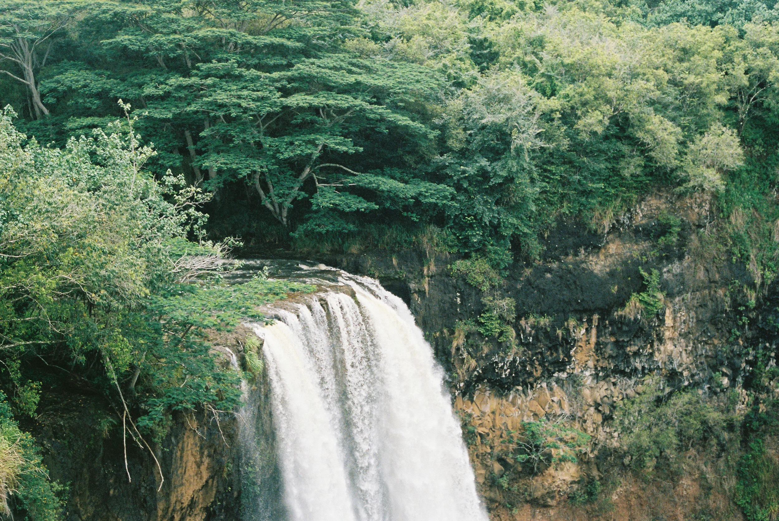 TrujilloKauai2014_046-2.jpg