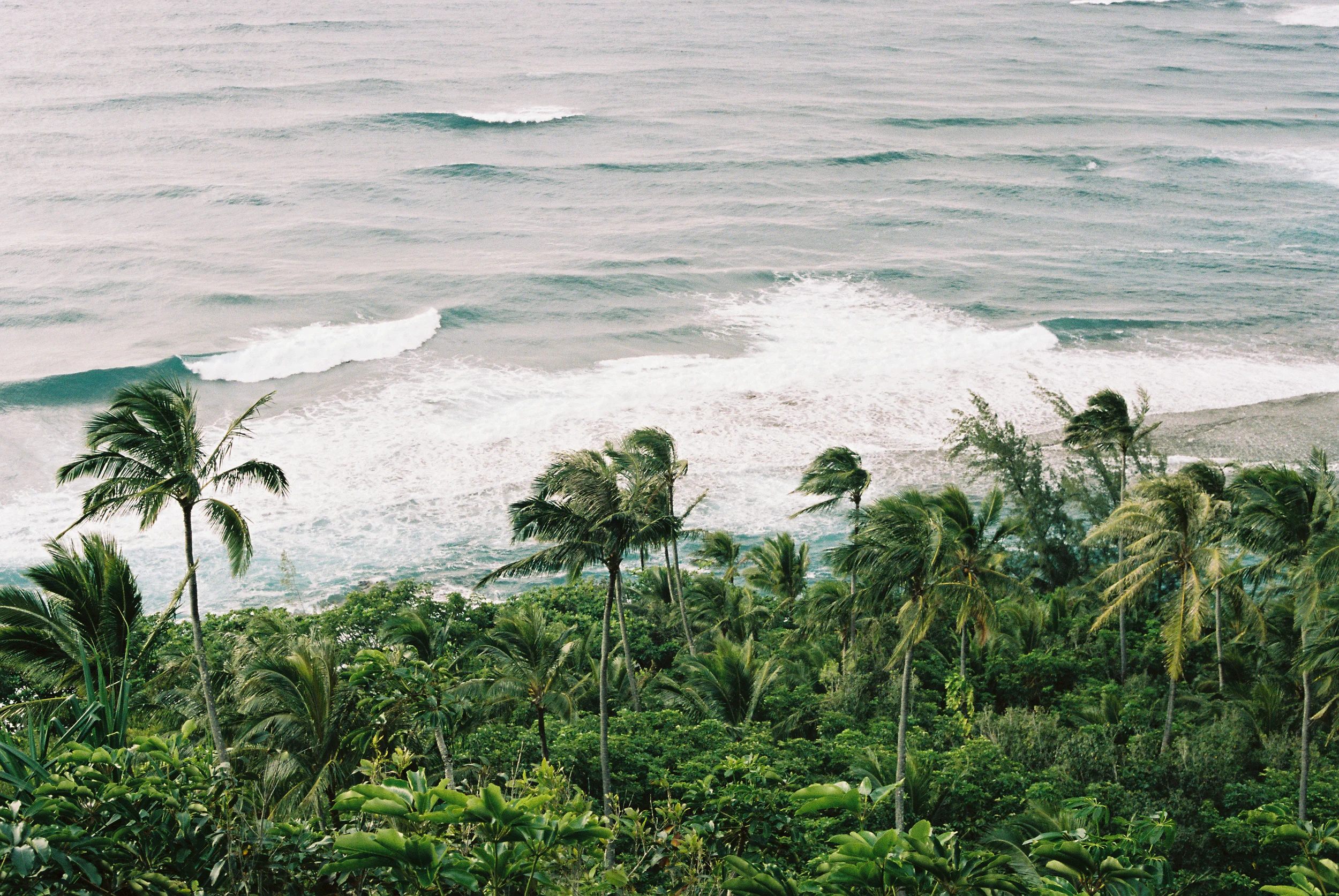 TrujilloKauai2014_102-2.jpg