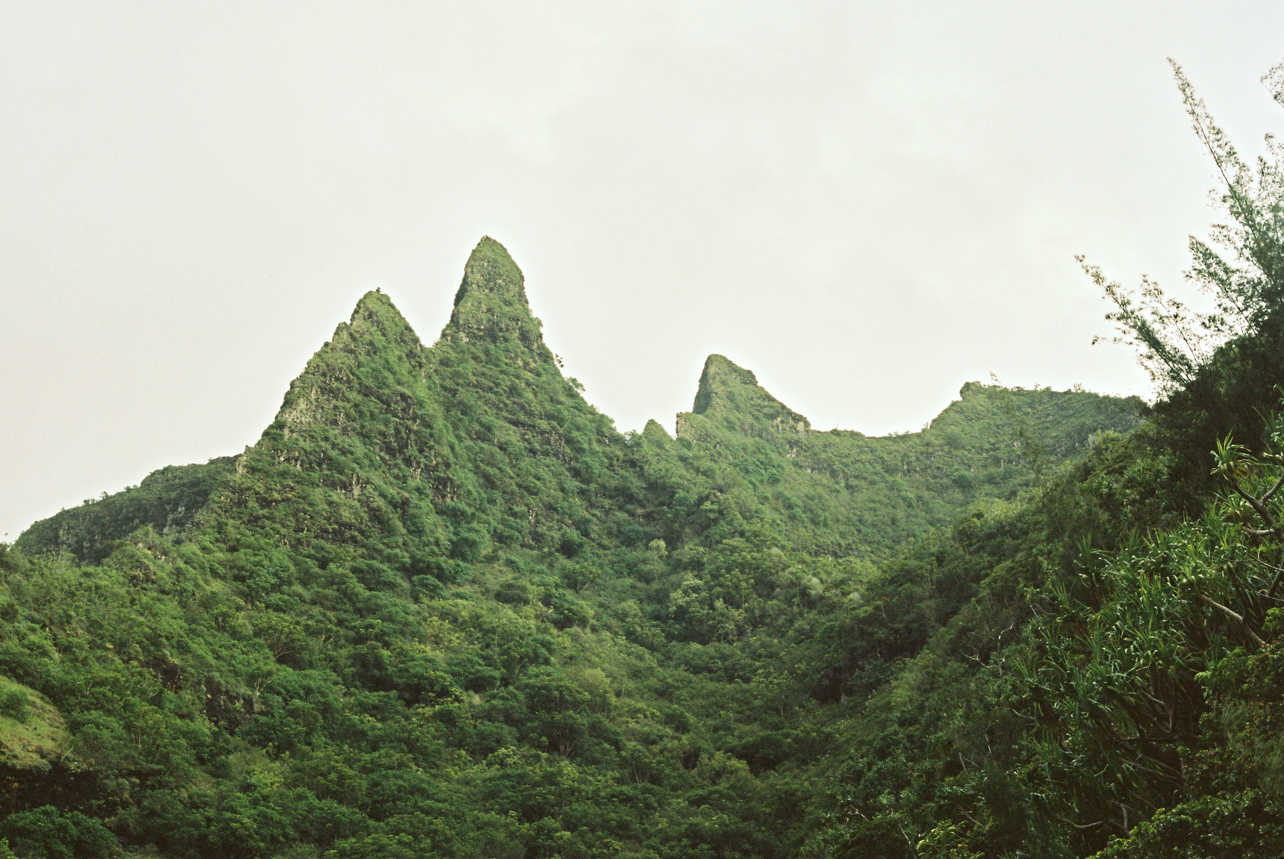 TrujilloKauai2014_105-2.jpg