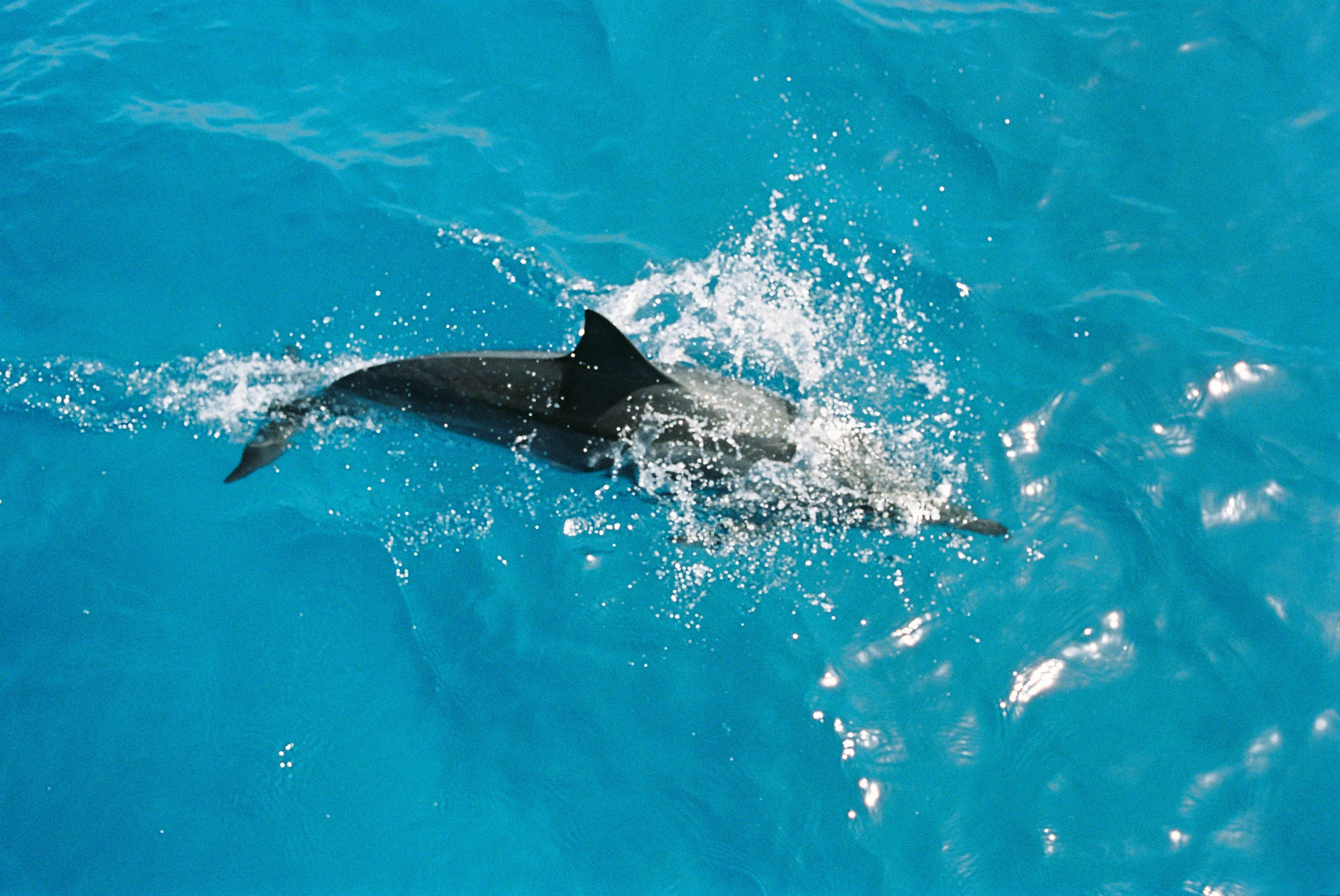 TrujilloKauai2014_123-2.jpg