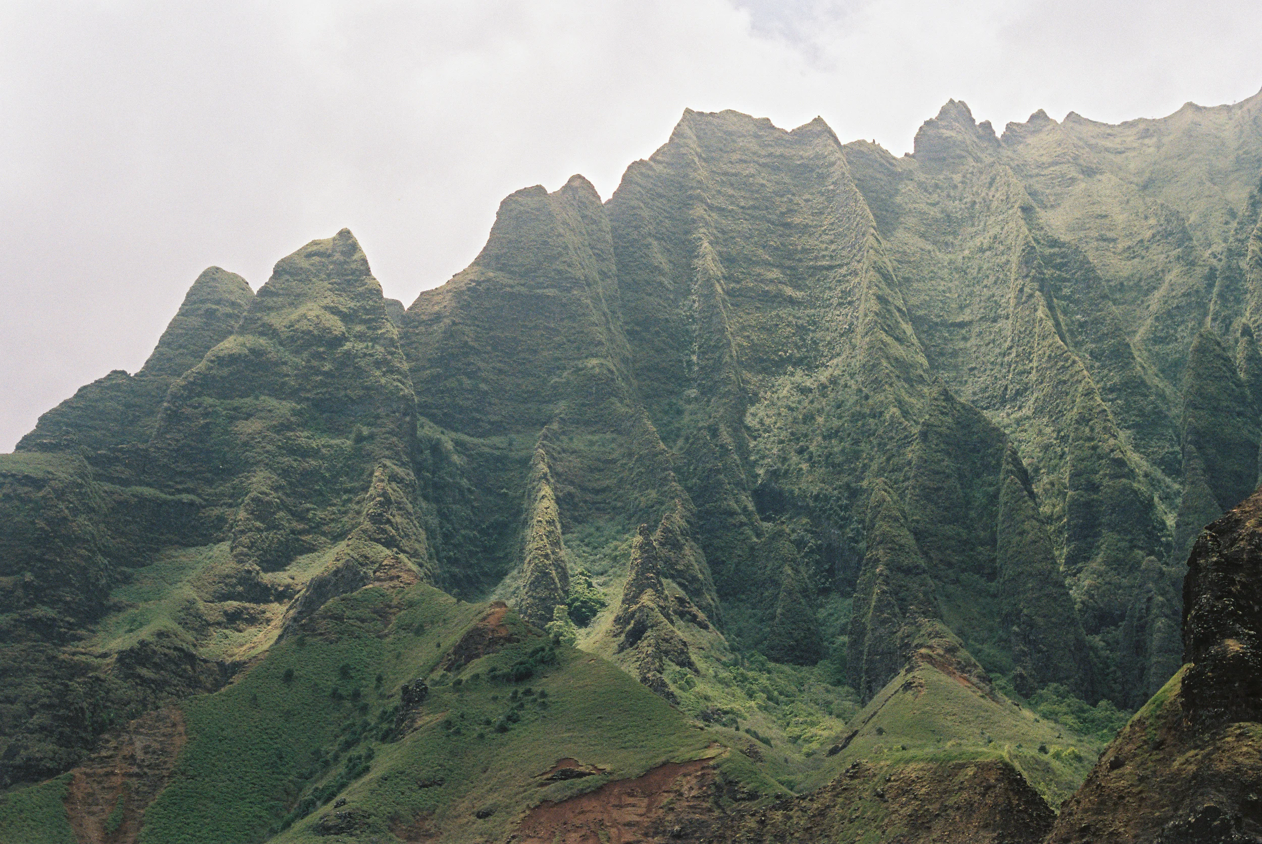 TrujilloKauai2014_155-2.jpg