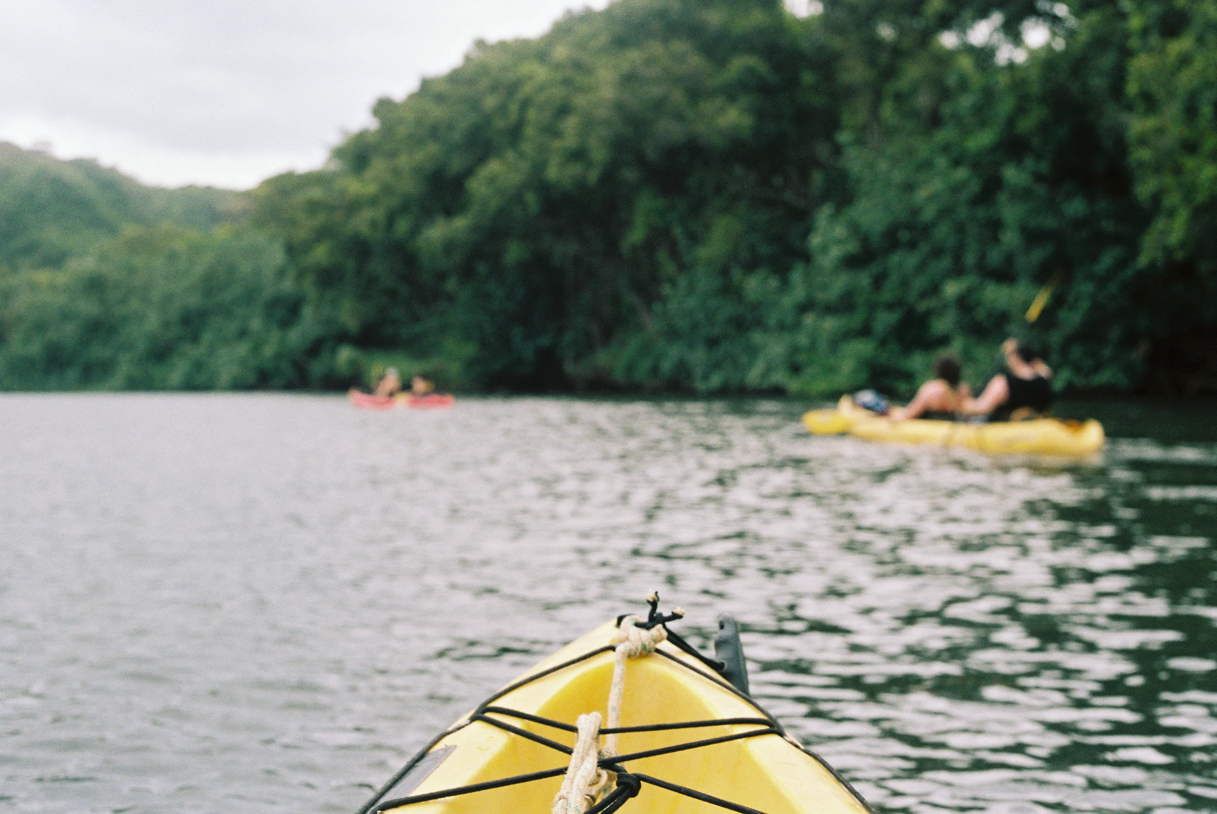 TrujilloKauai2014_184-2.jpg