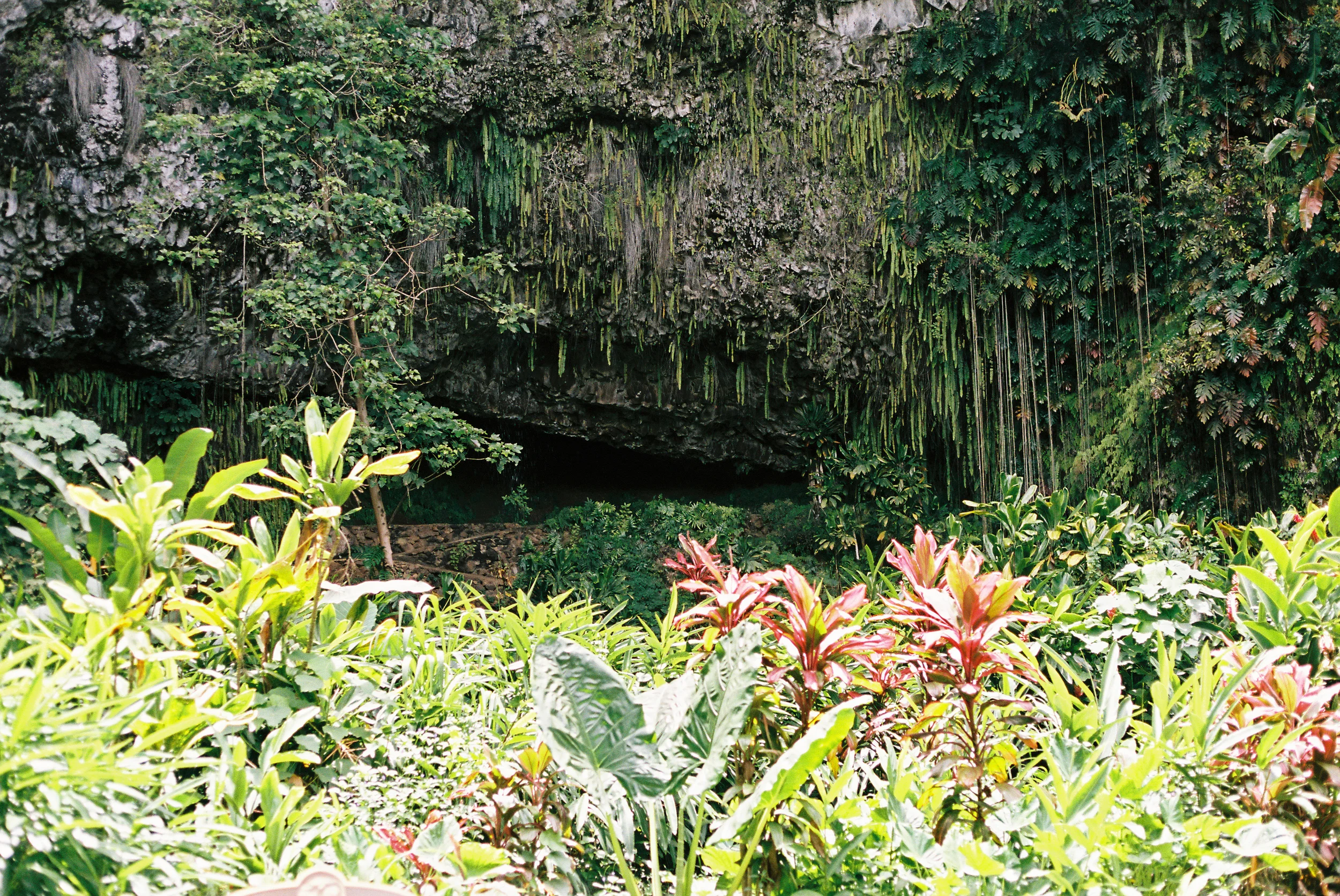 TrujilloKauai2014_188-2.jpg