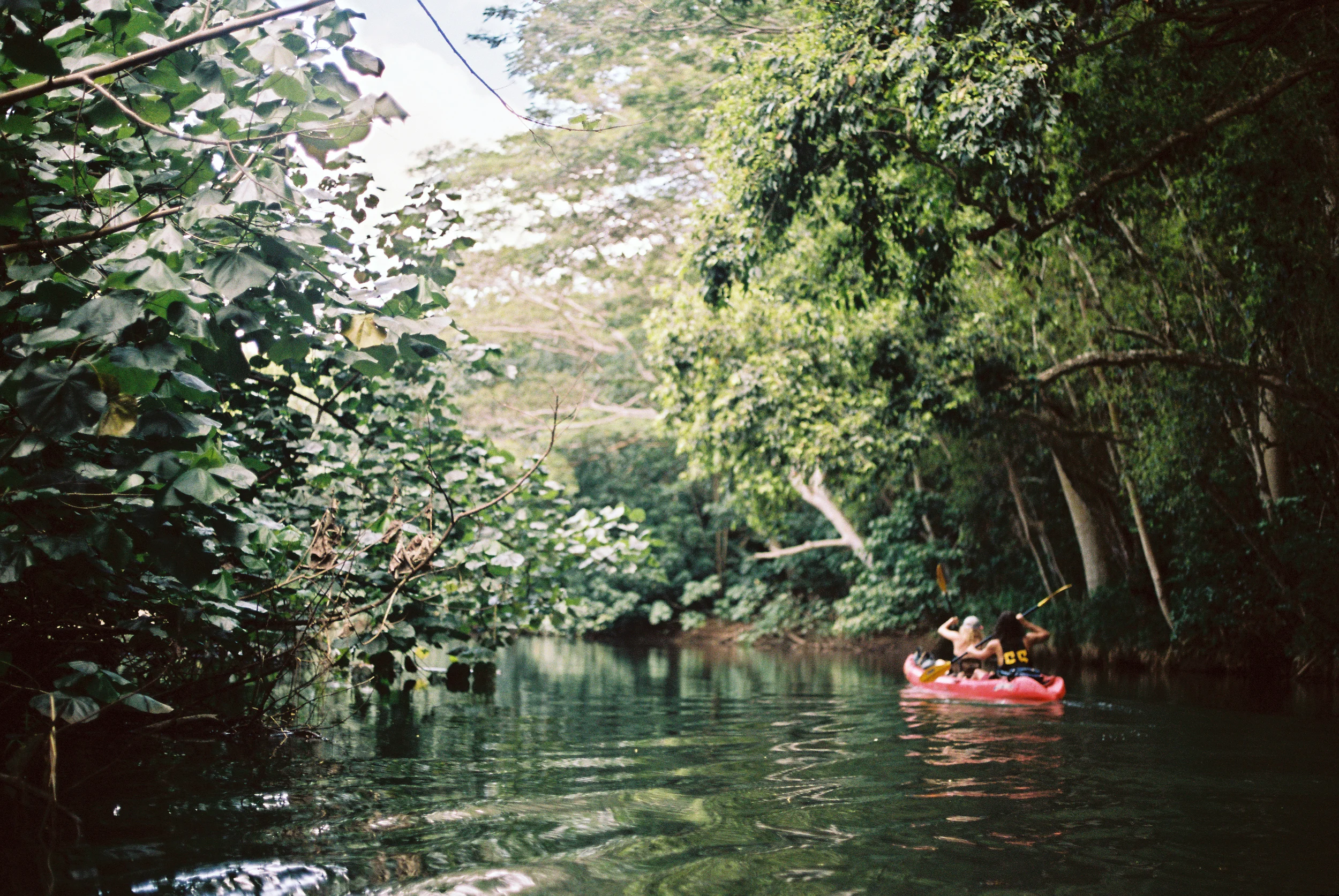 TrujilloKauai2014_193-2.jpg