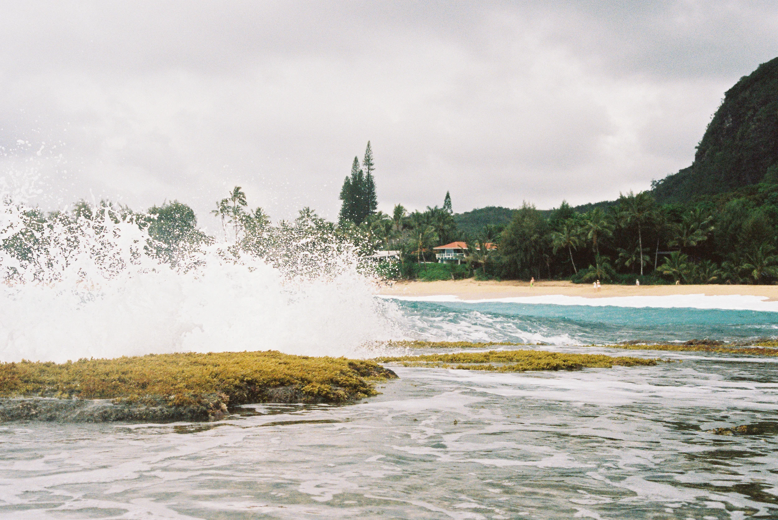 TrujilloKauai2014_014-2.jpg