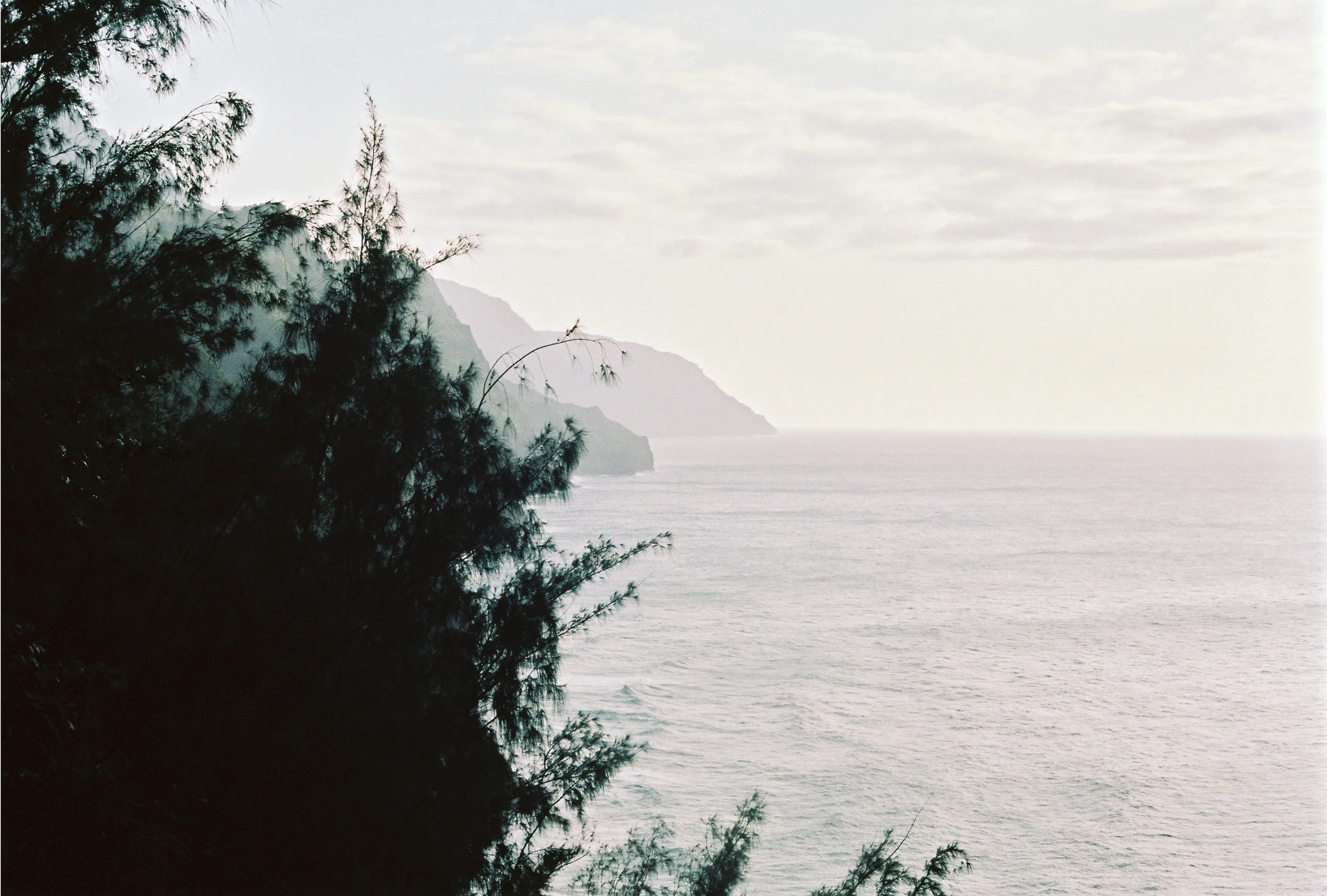 TrujilloKauai2014_106-2.jpg
