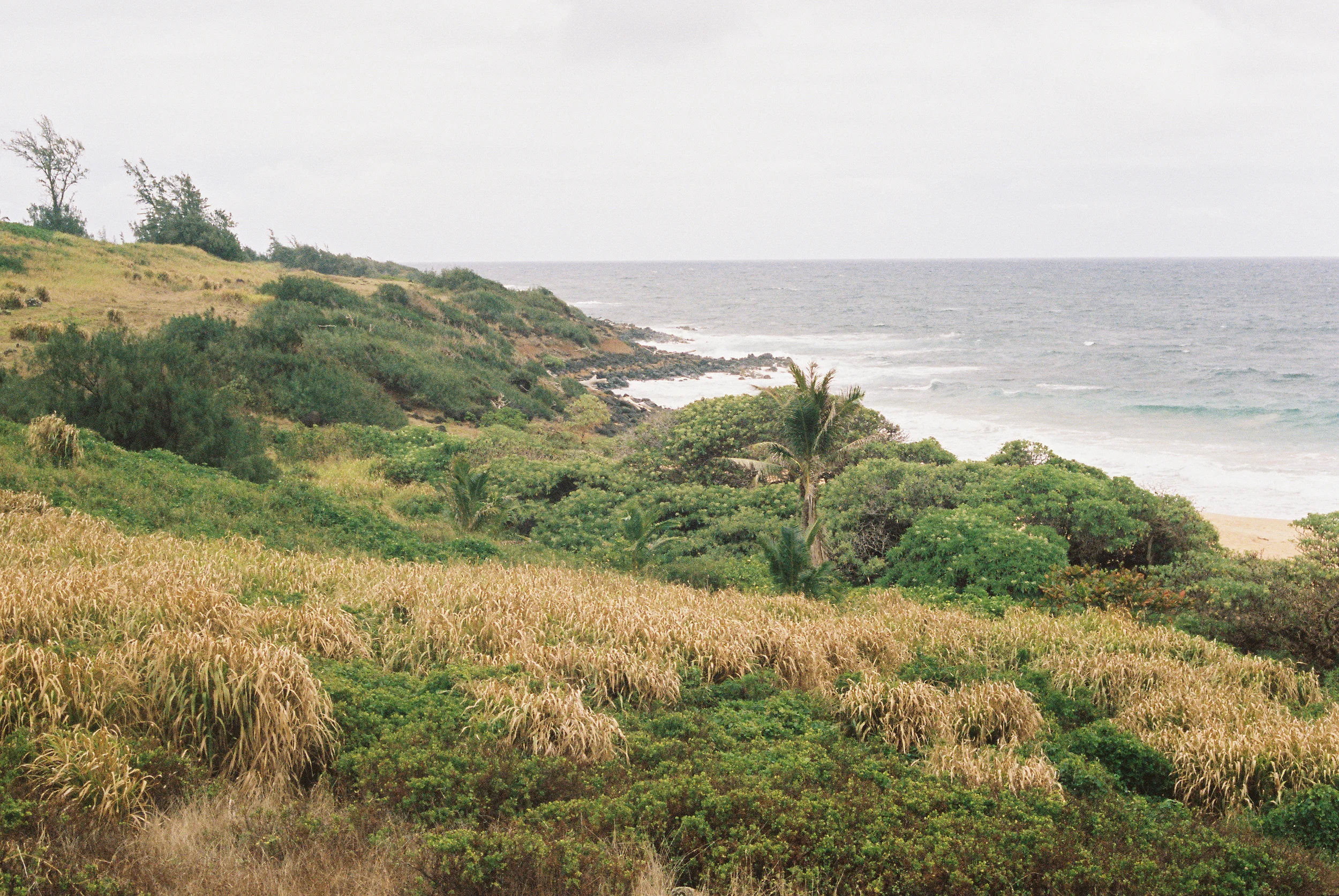 TrujilloKauai2014_035-2.jpg