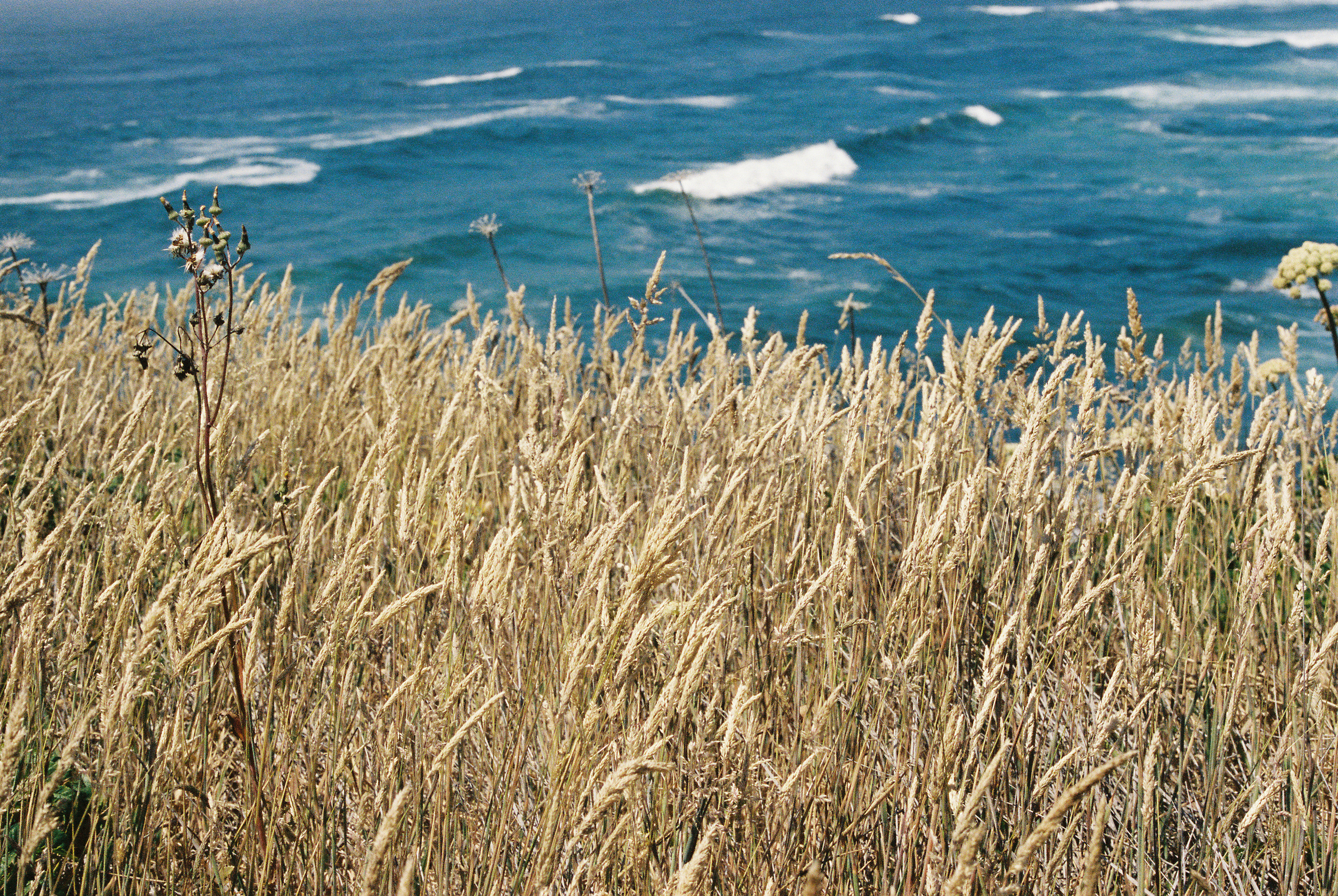CaliforniaCoastRide-60.jpg