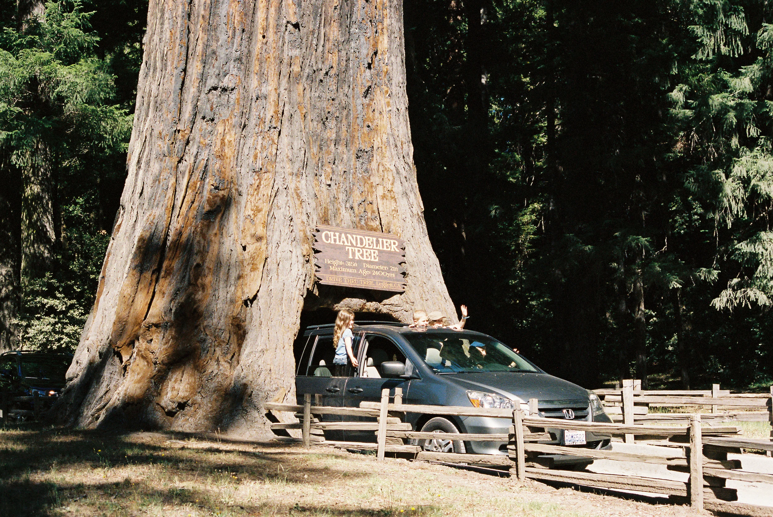 CaliforniaCoastRide-71.jpg