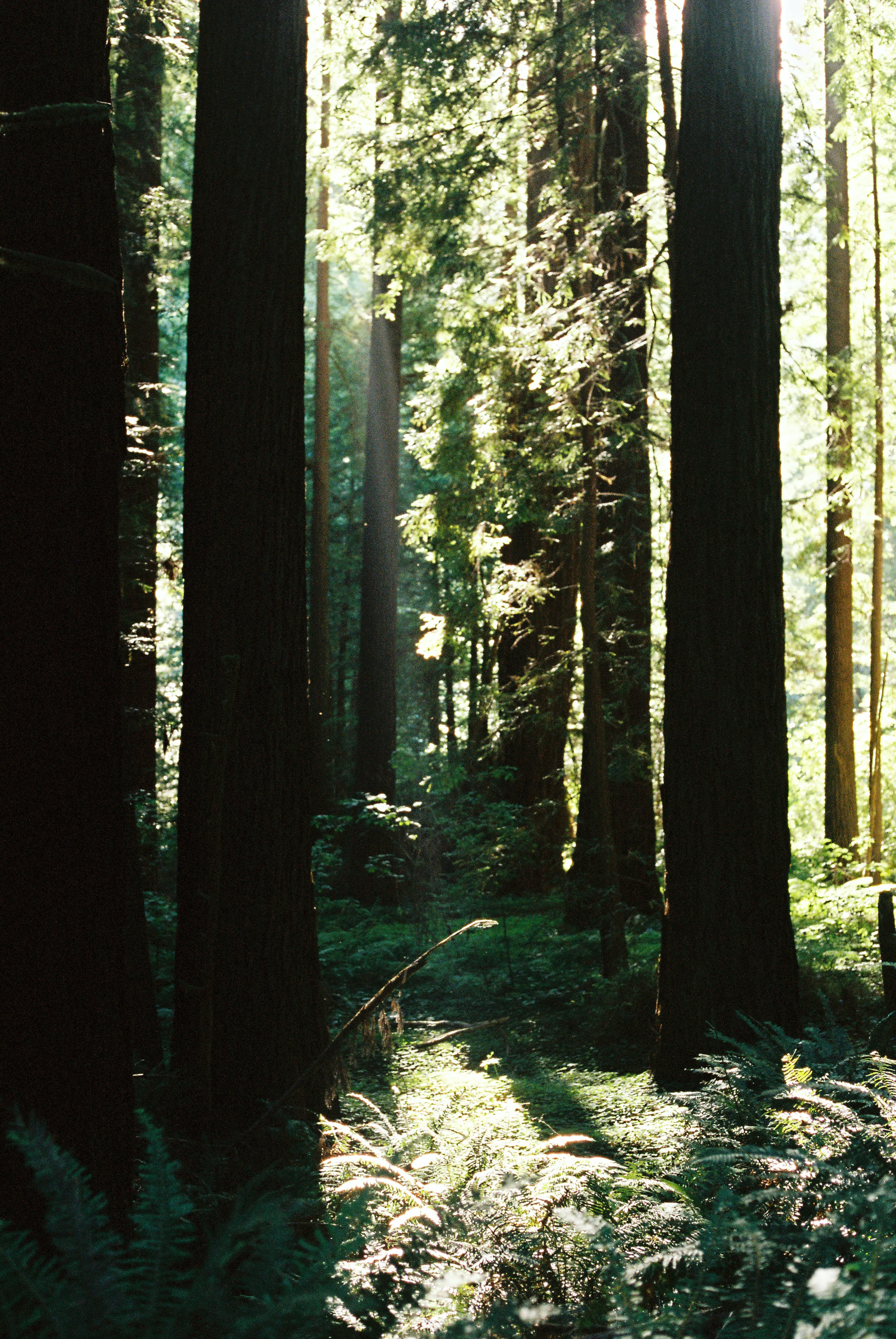 CaliforniaCoastRide-86.jpg